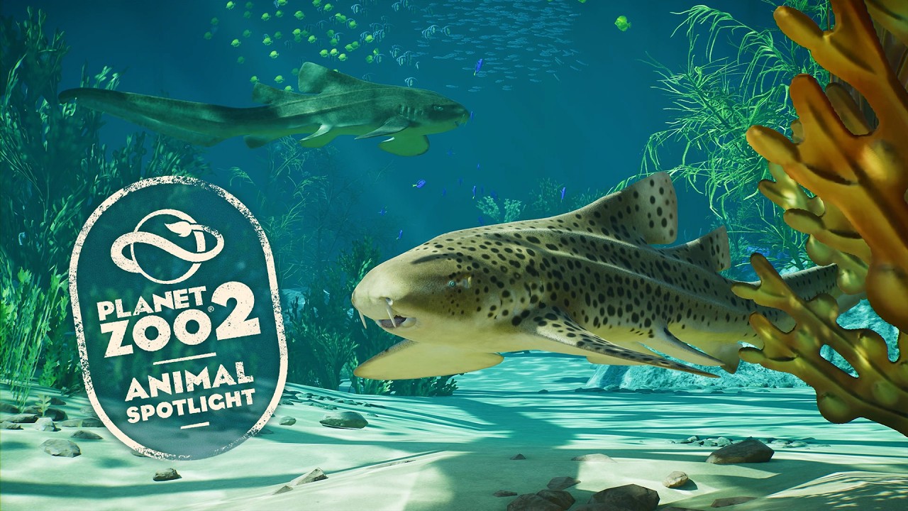 Planet Zoo 2 - Animal Spotlight: Der Indopazifische Leopardenhai