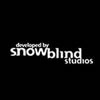 Snowblind Studios sichern sich Bladurs Gate: Dark Alliance Lizenz