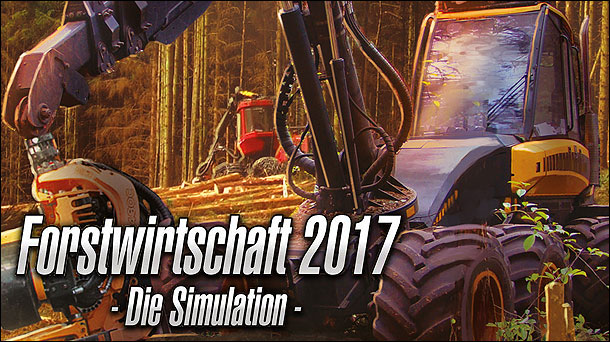 Forstwirtschaft 2017: Die Simulation 