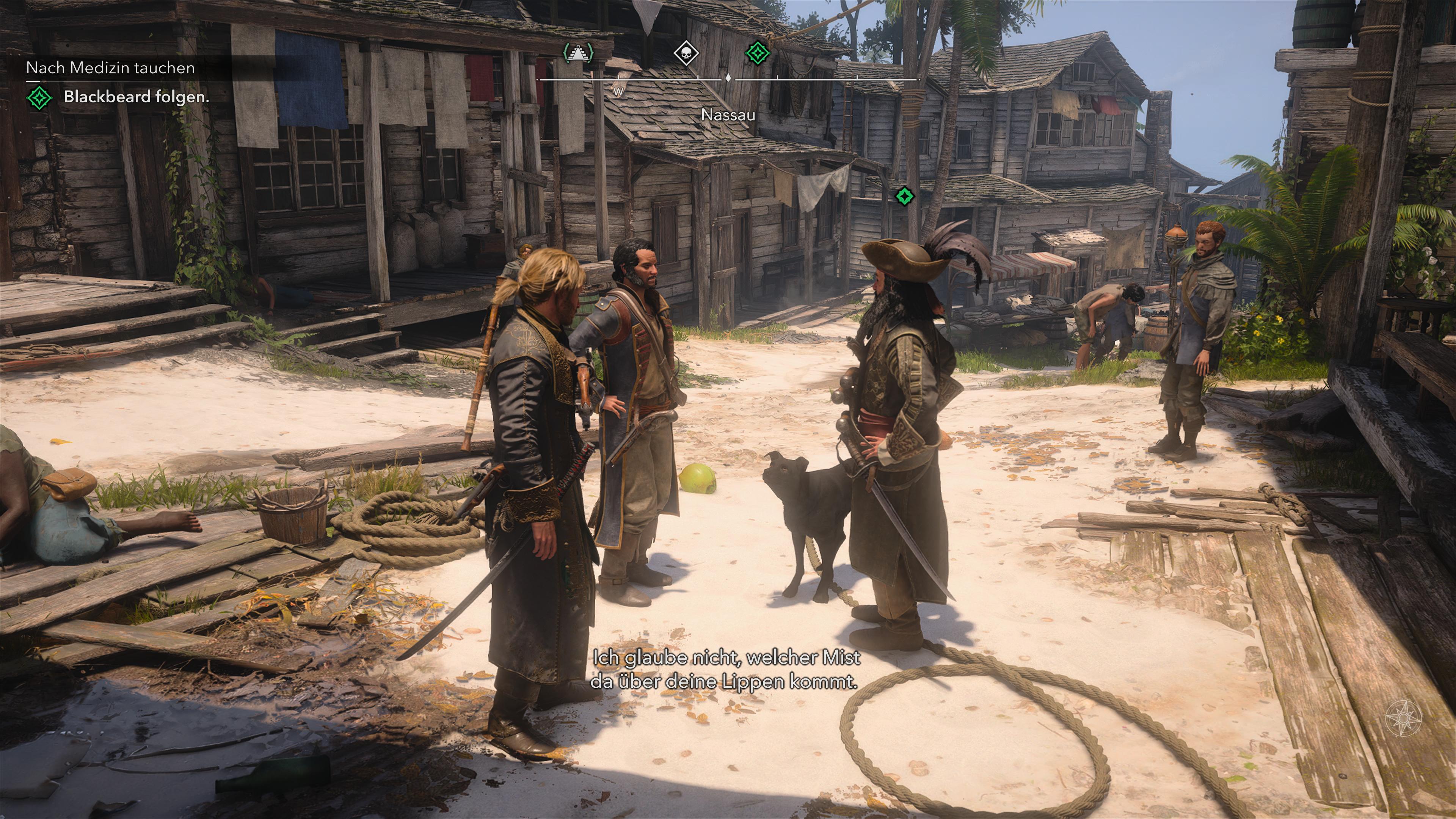 Assassin's Creed Black Flag Resynced