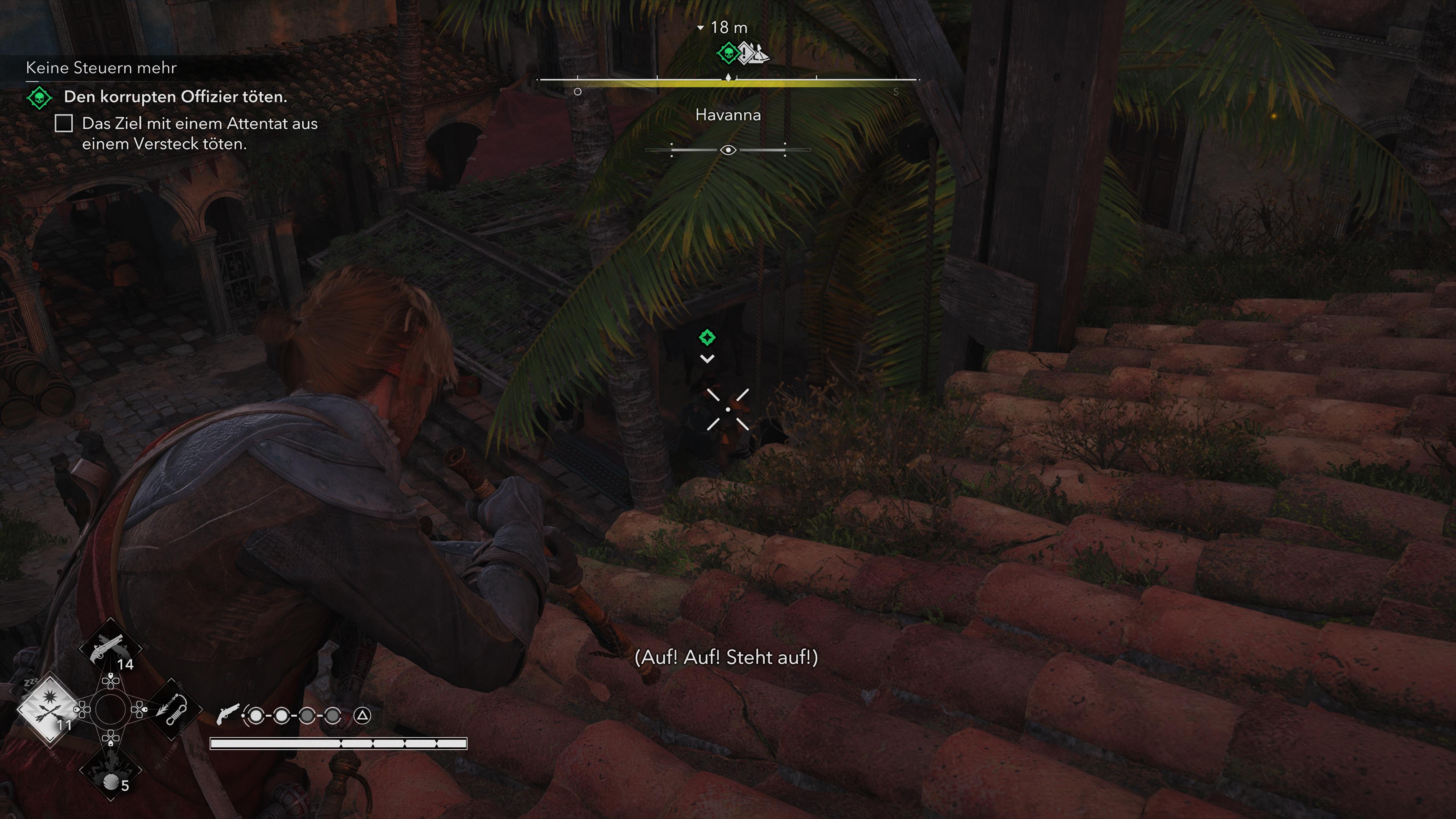 Assassin's Creed Black Flag Resynced