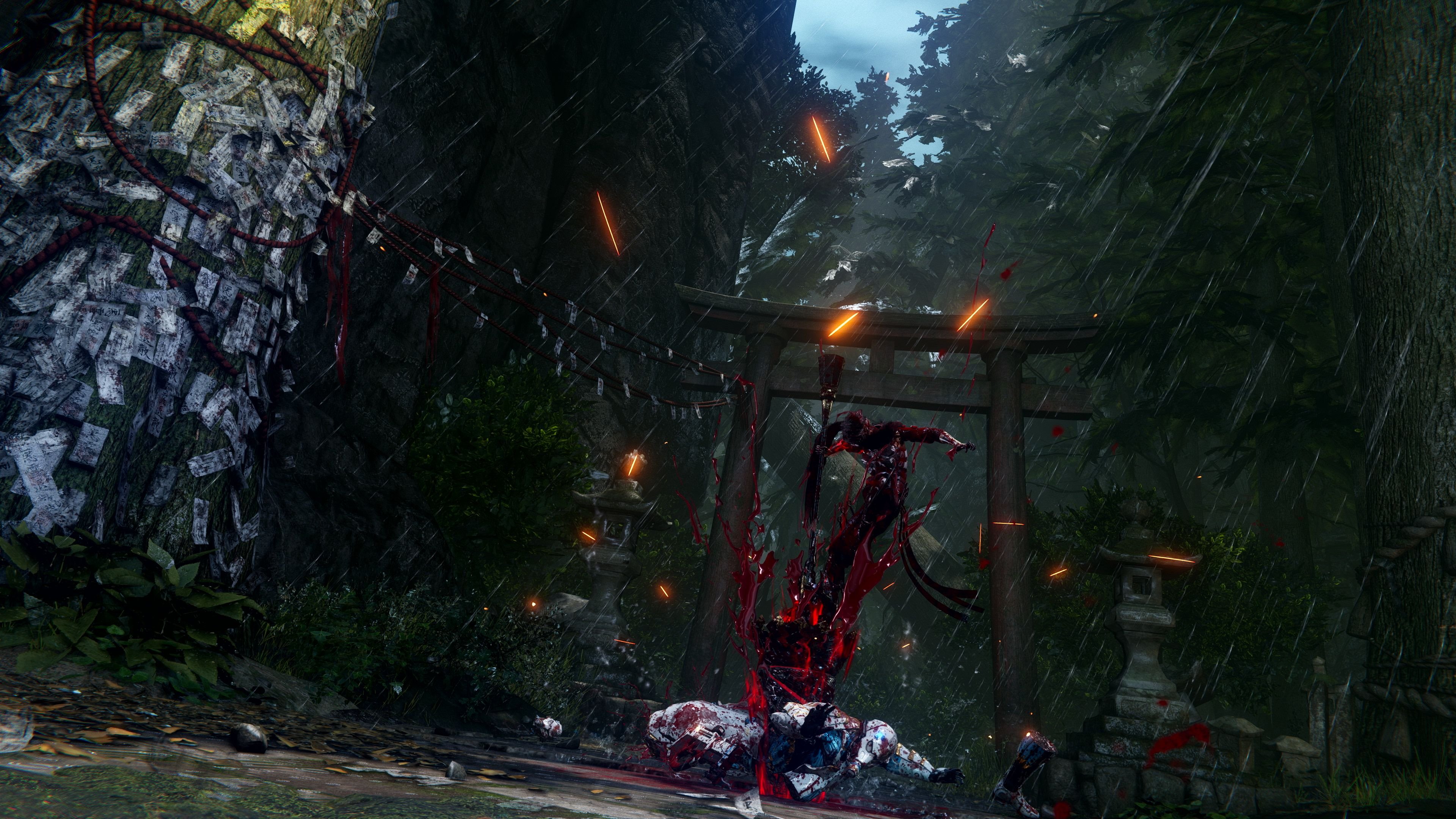 Ninja Gaiden 4