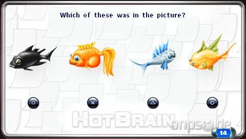 Hot Brain
