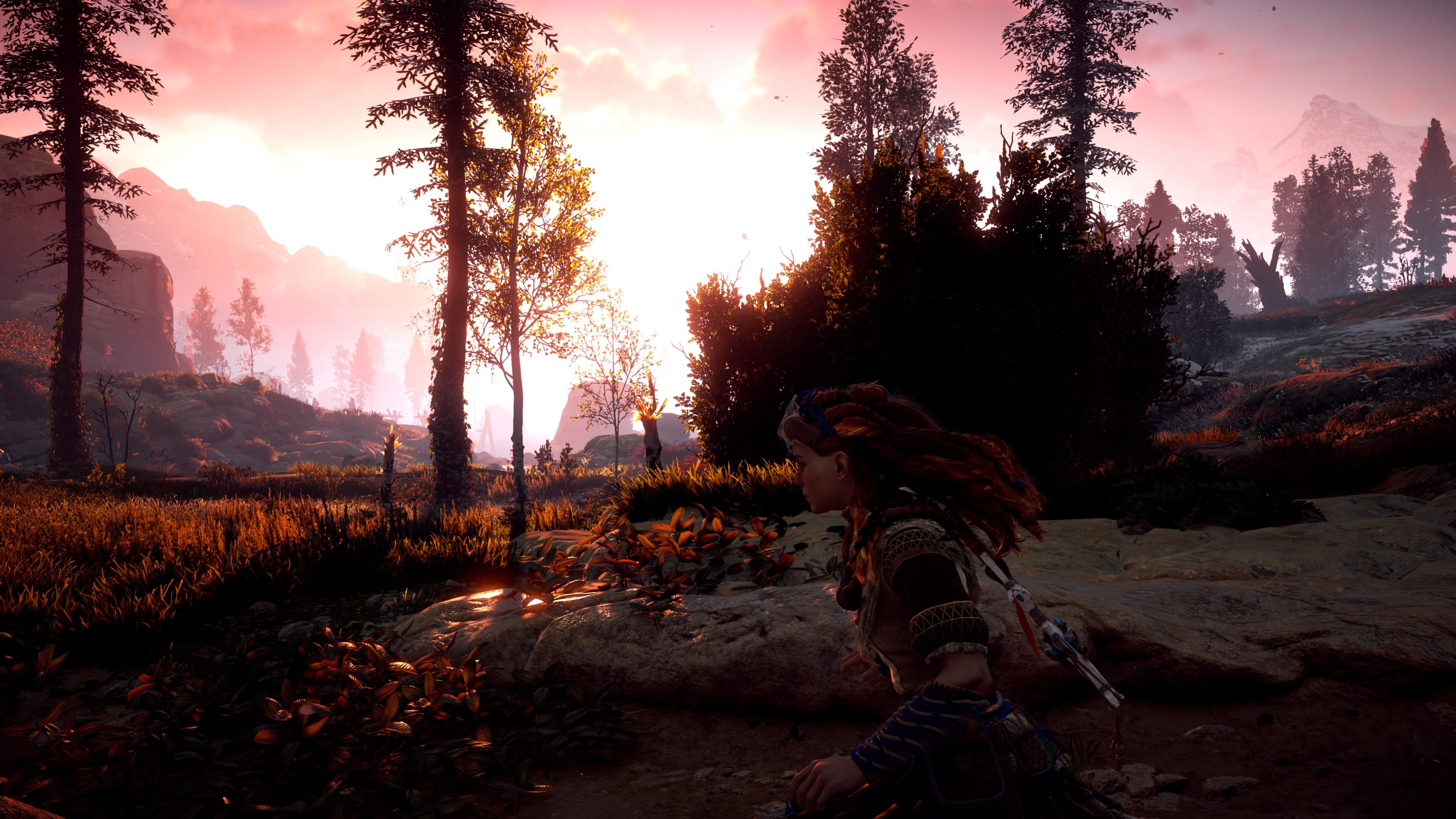 Horizon Zero Dawn: Dokumentation von noclip