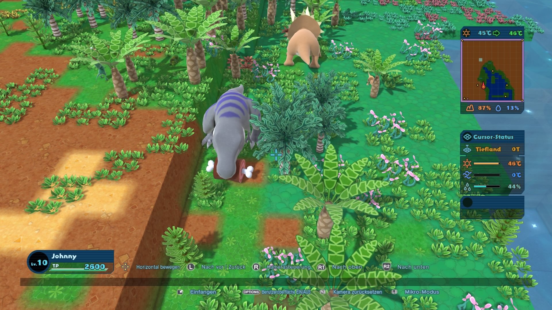 Birthdays the Beginning