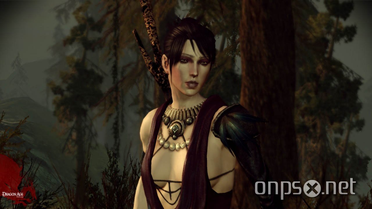 Dragon Age: Origins
