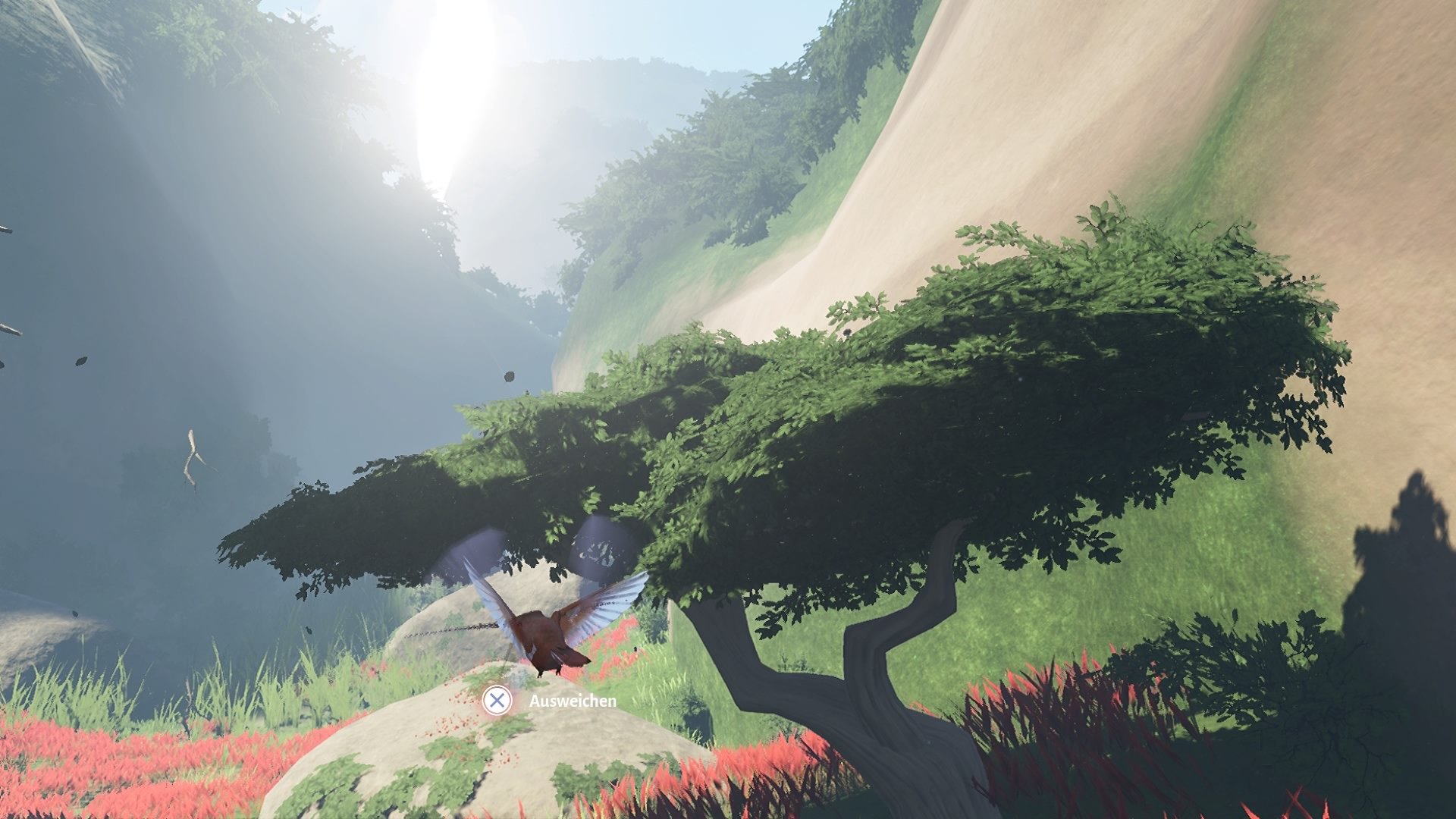 Lost Ember