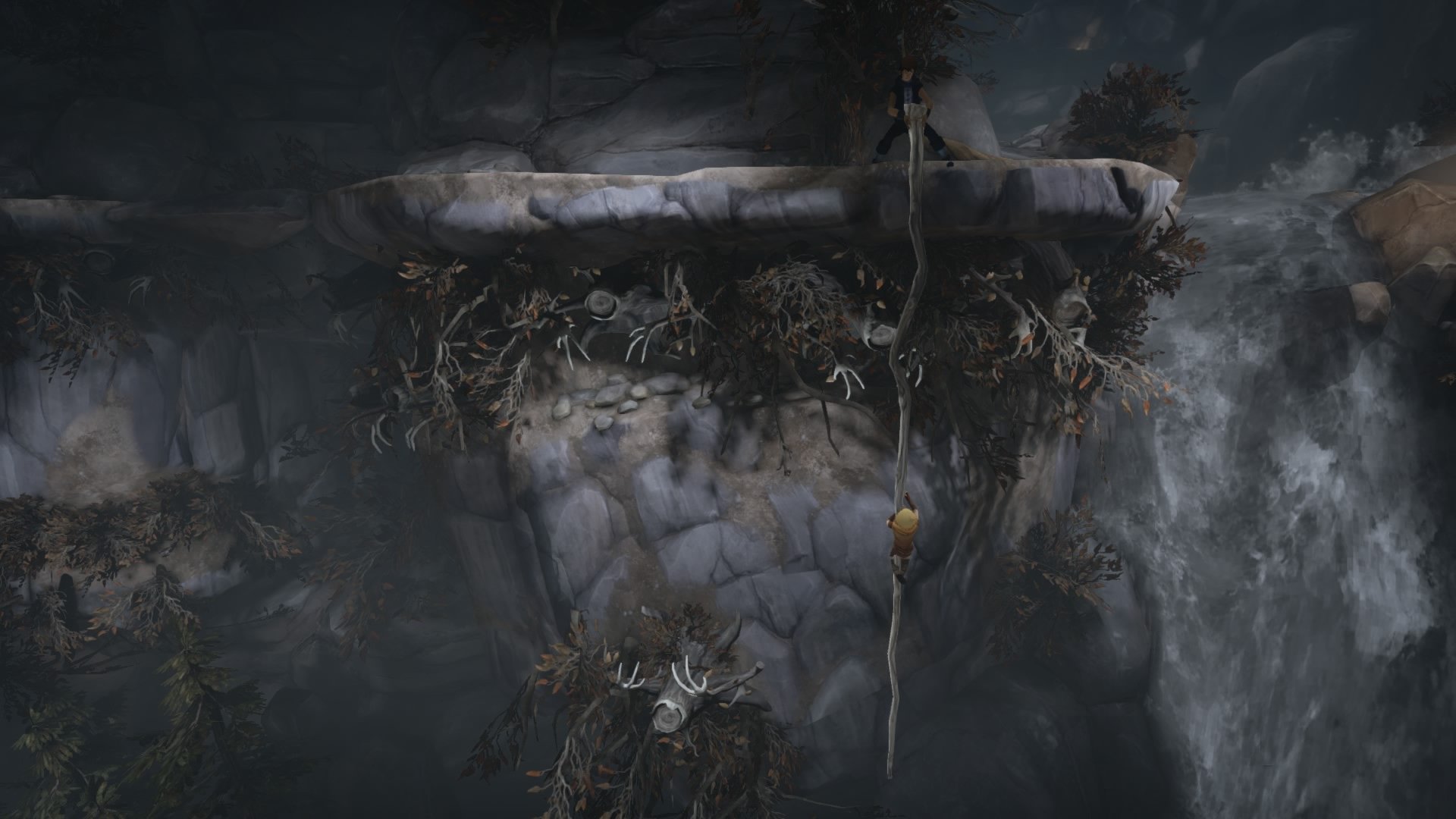 Brothers: A Tale of Two Sons