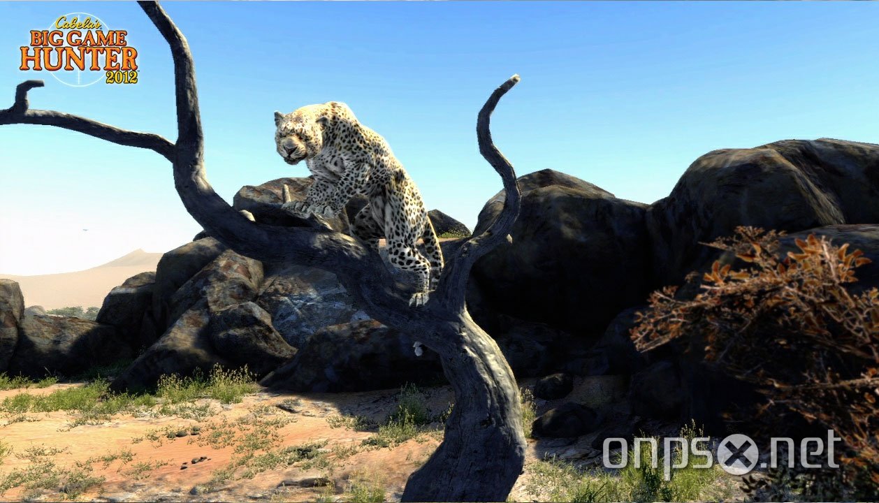 Cabela's Big Game Hunter 2012