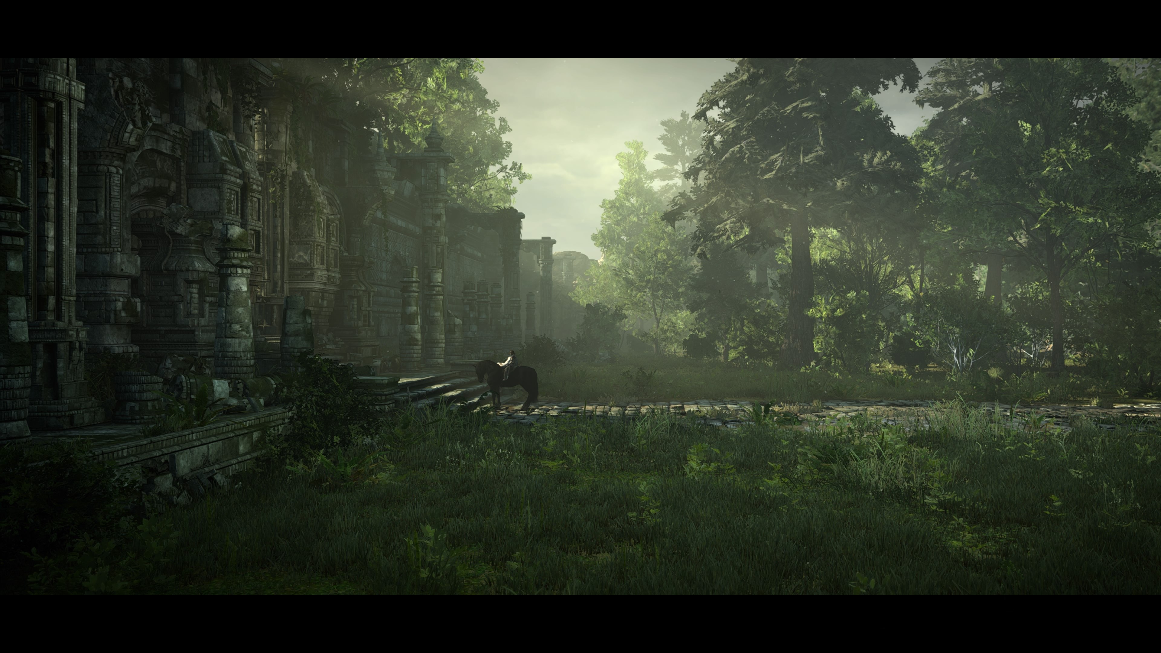 Shadow of the Colossus