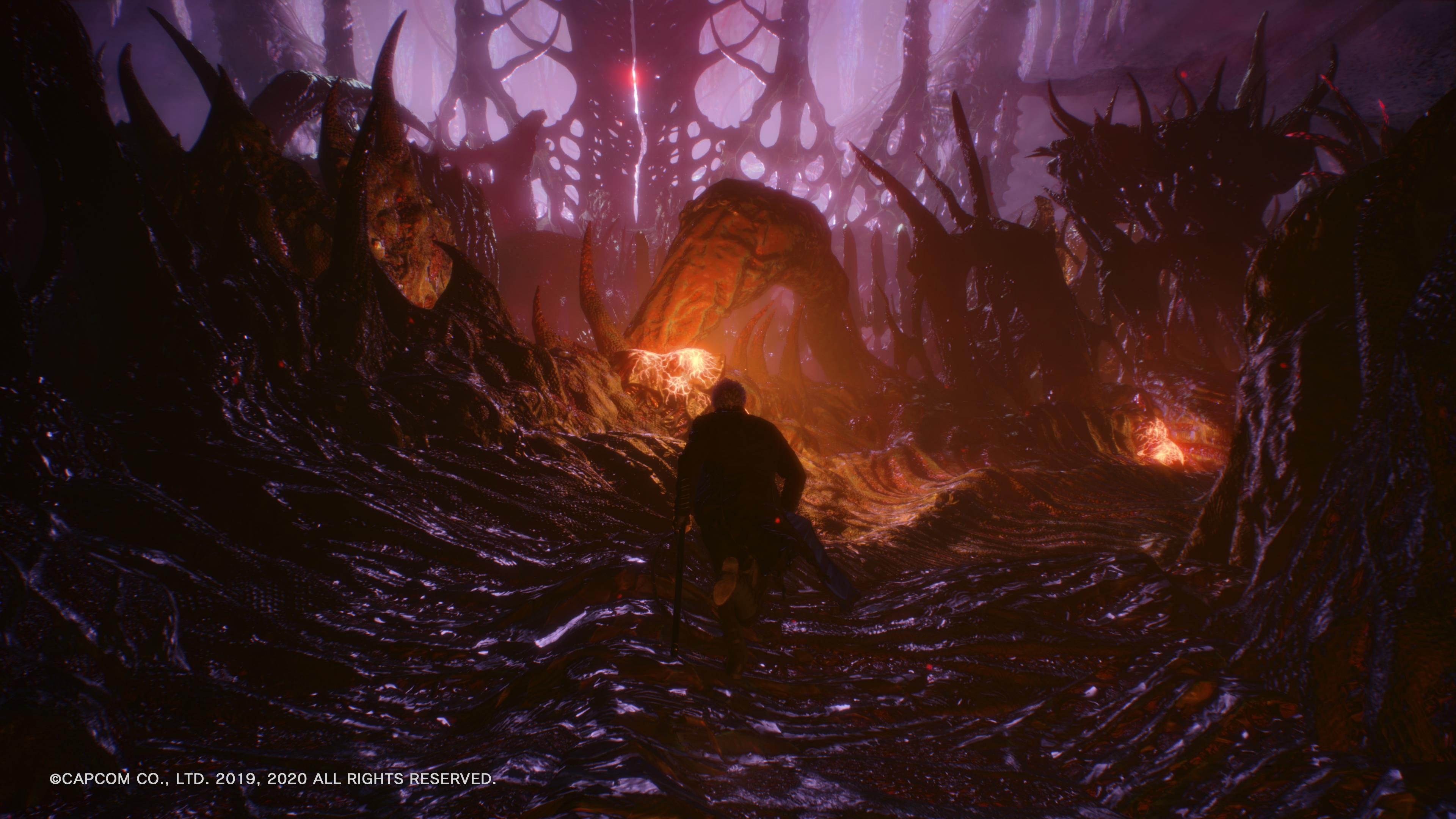 Devil May Cry 5 Special Edition