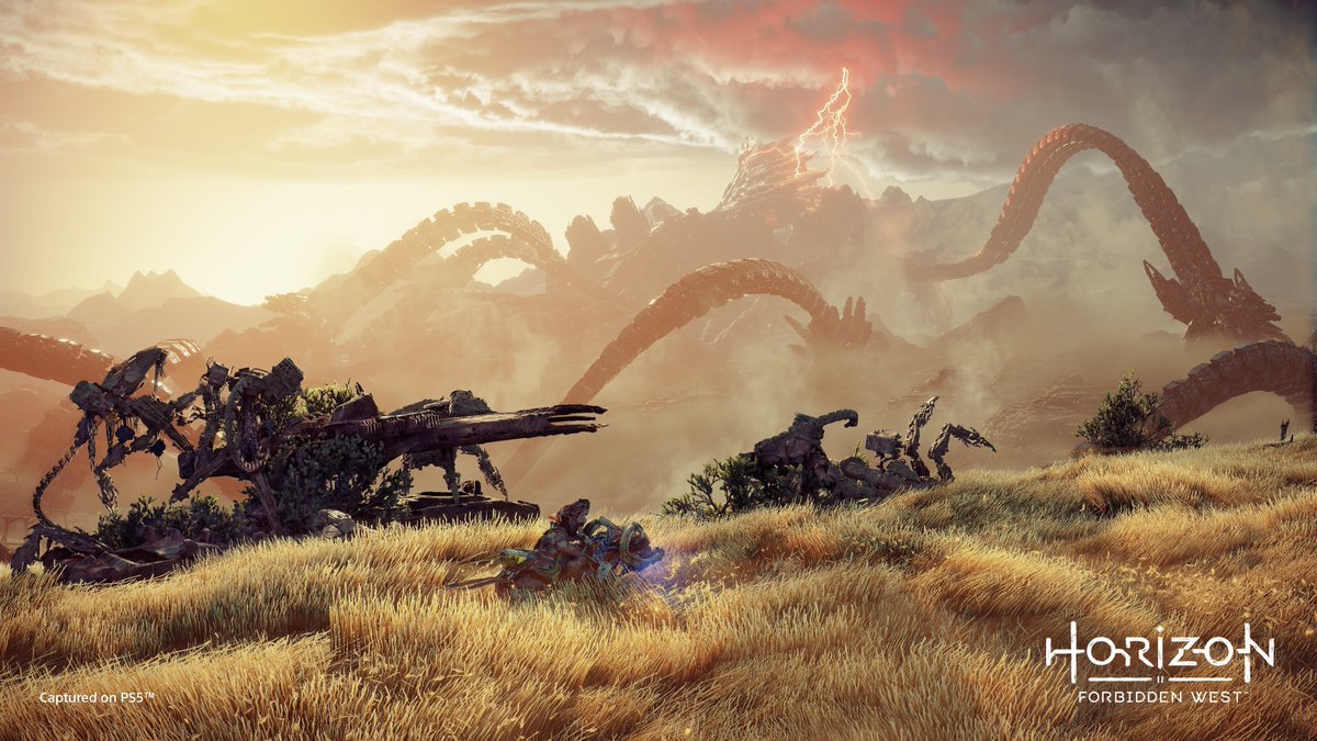 Guerrilla Games arbeitet an neuem Horizon Spiel und Online Projekt