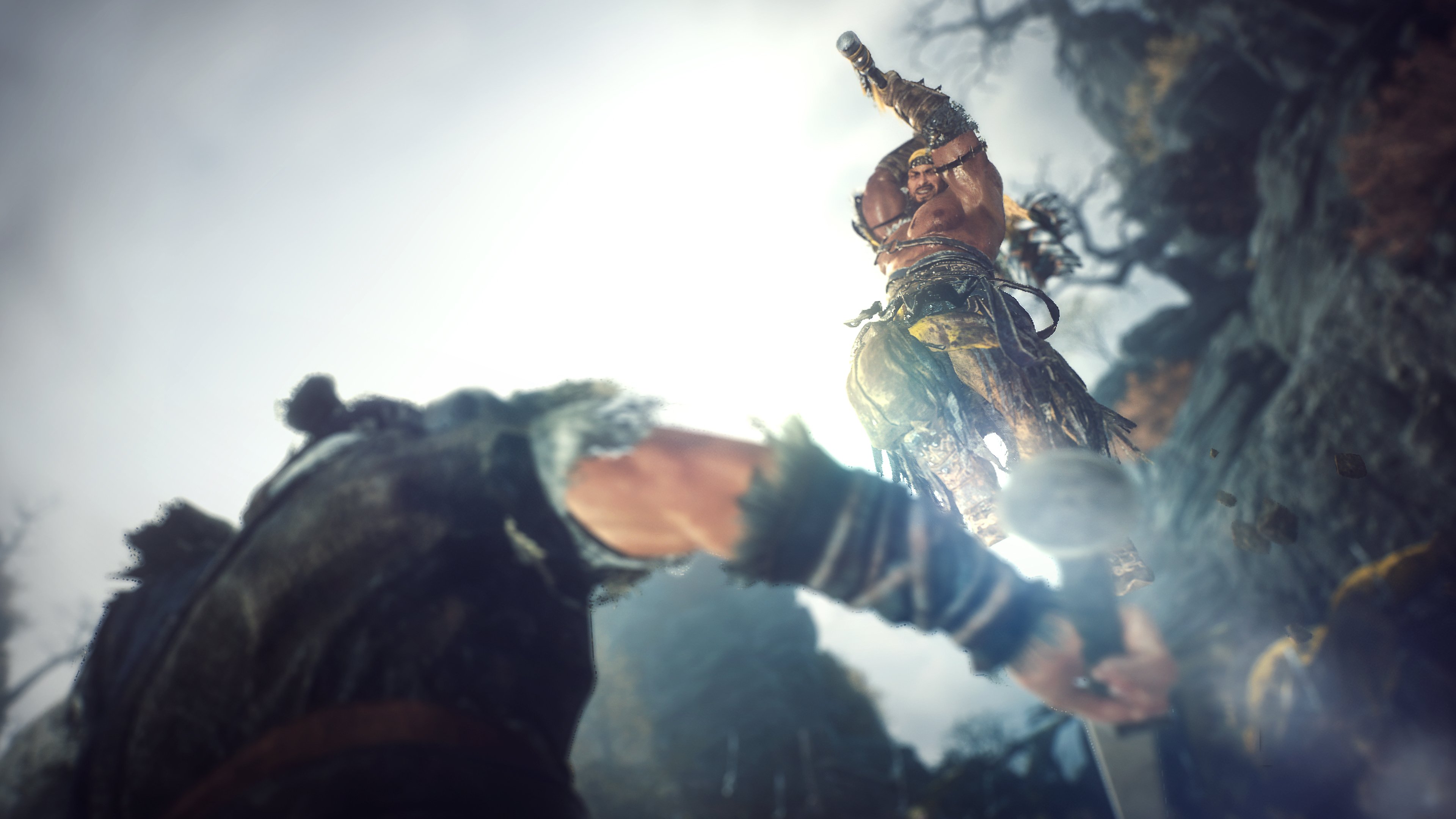 Wo Long: Fallen Dynasty - Demo für Ende Februar geplant