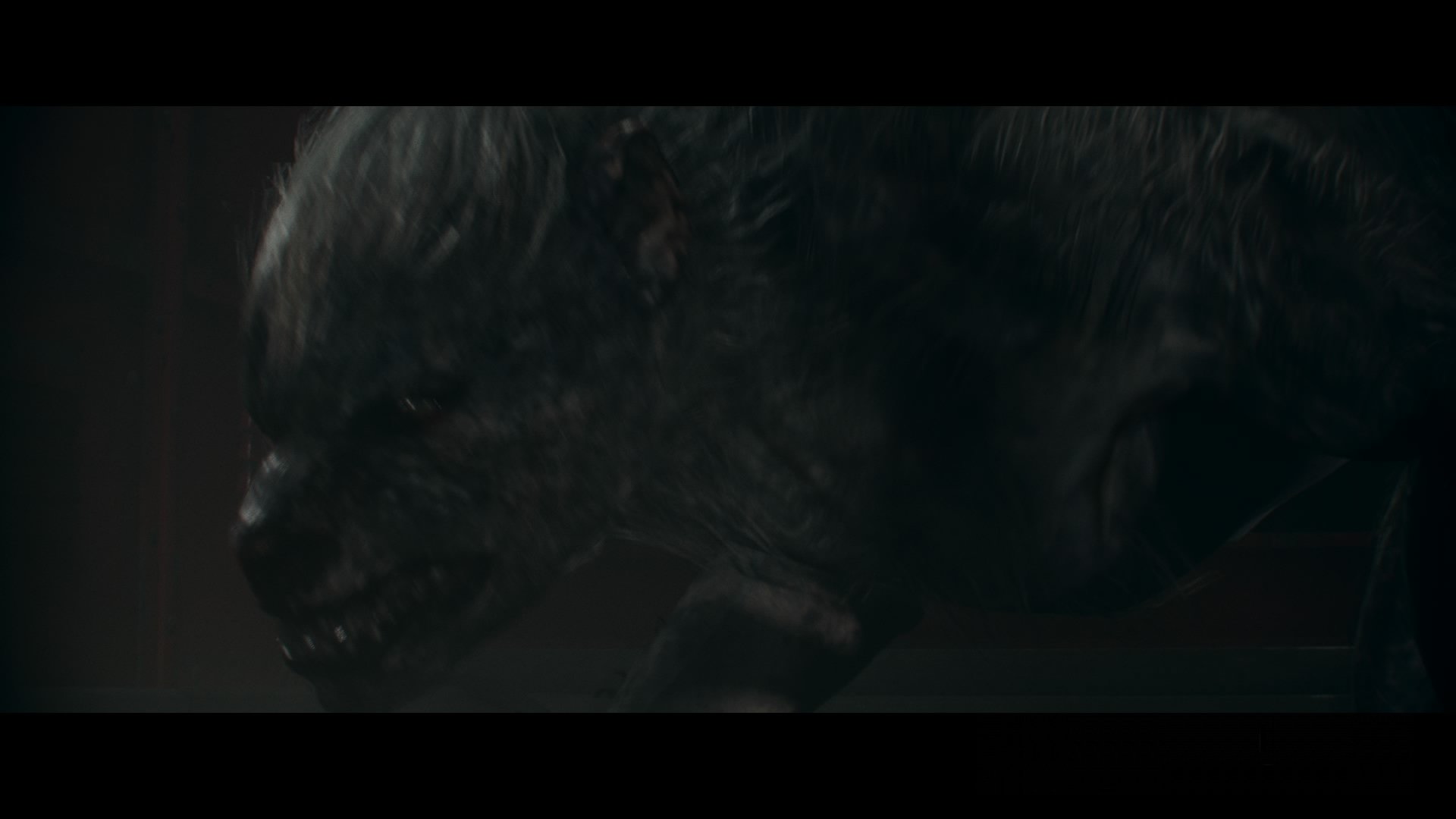 The Order: 1886