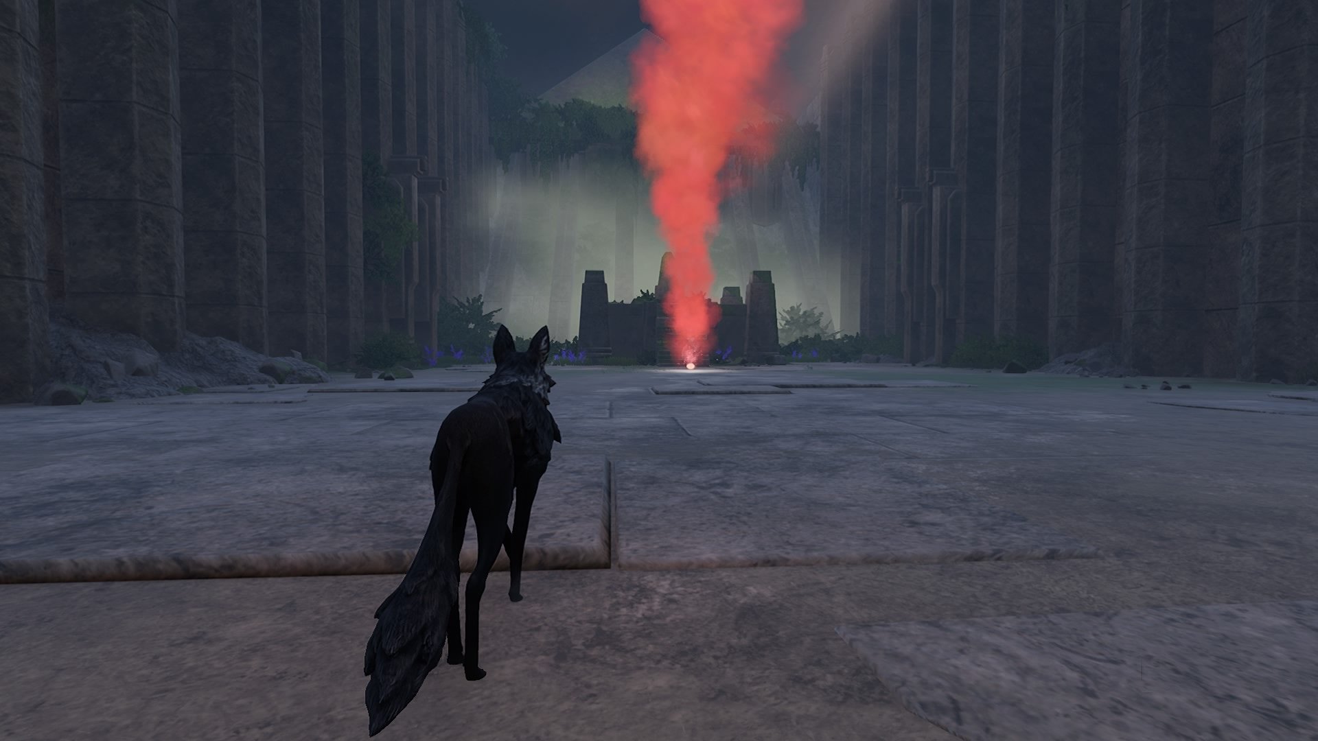 Lost Ember