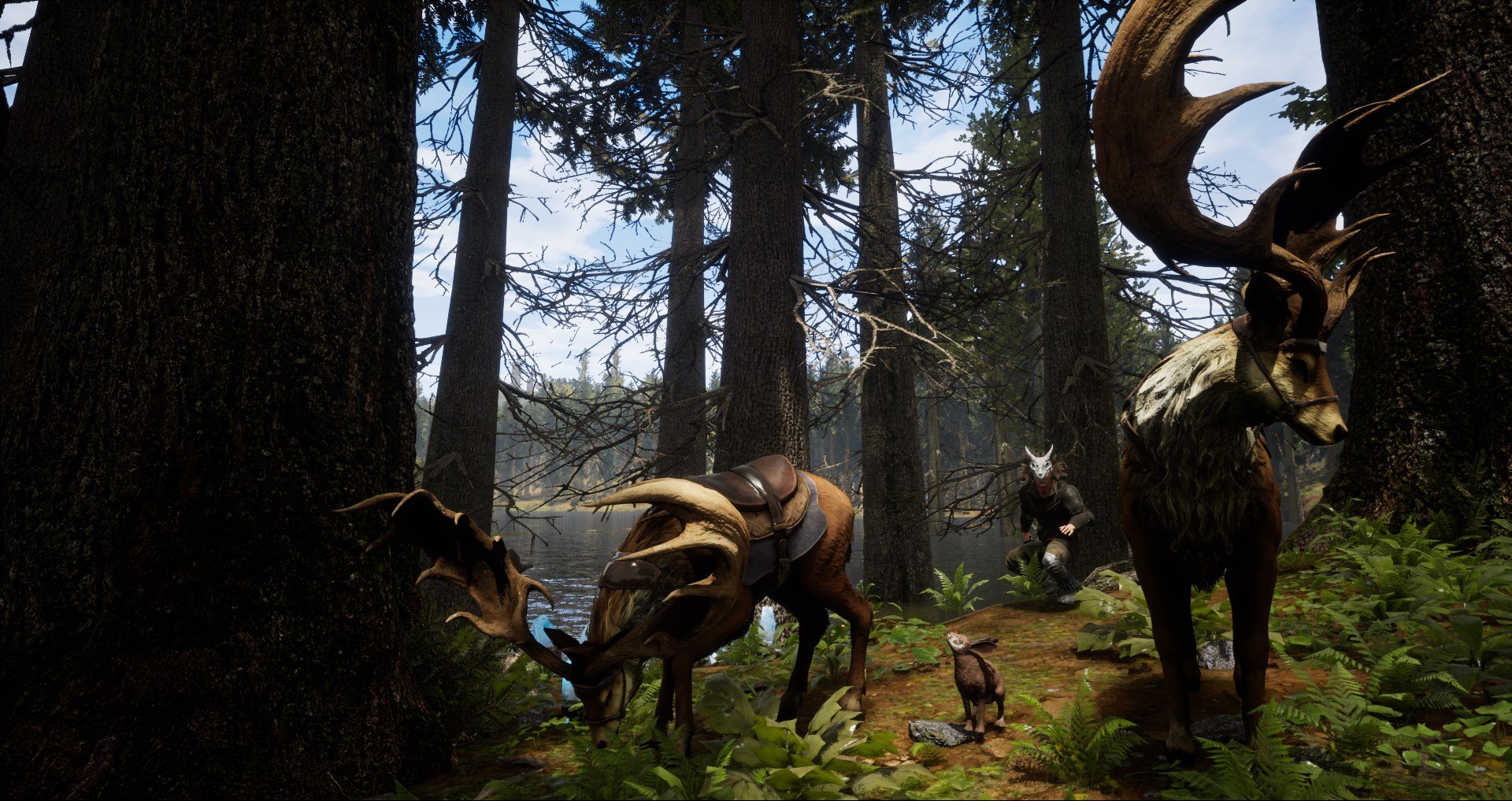 Citadel: Forged With Fire