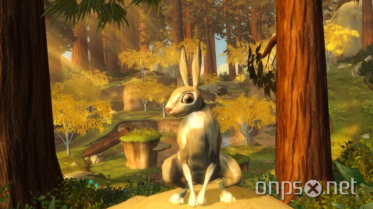 Wildlife: Forest Survival