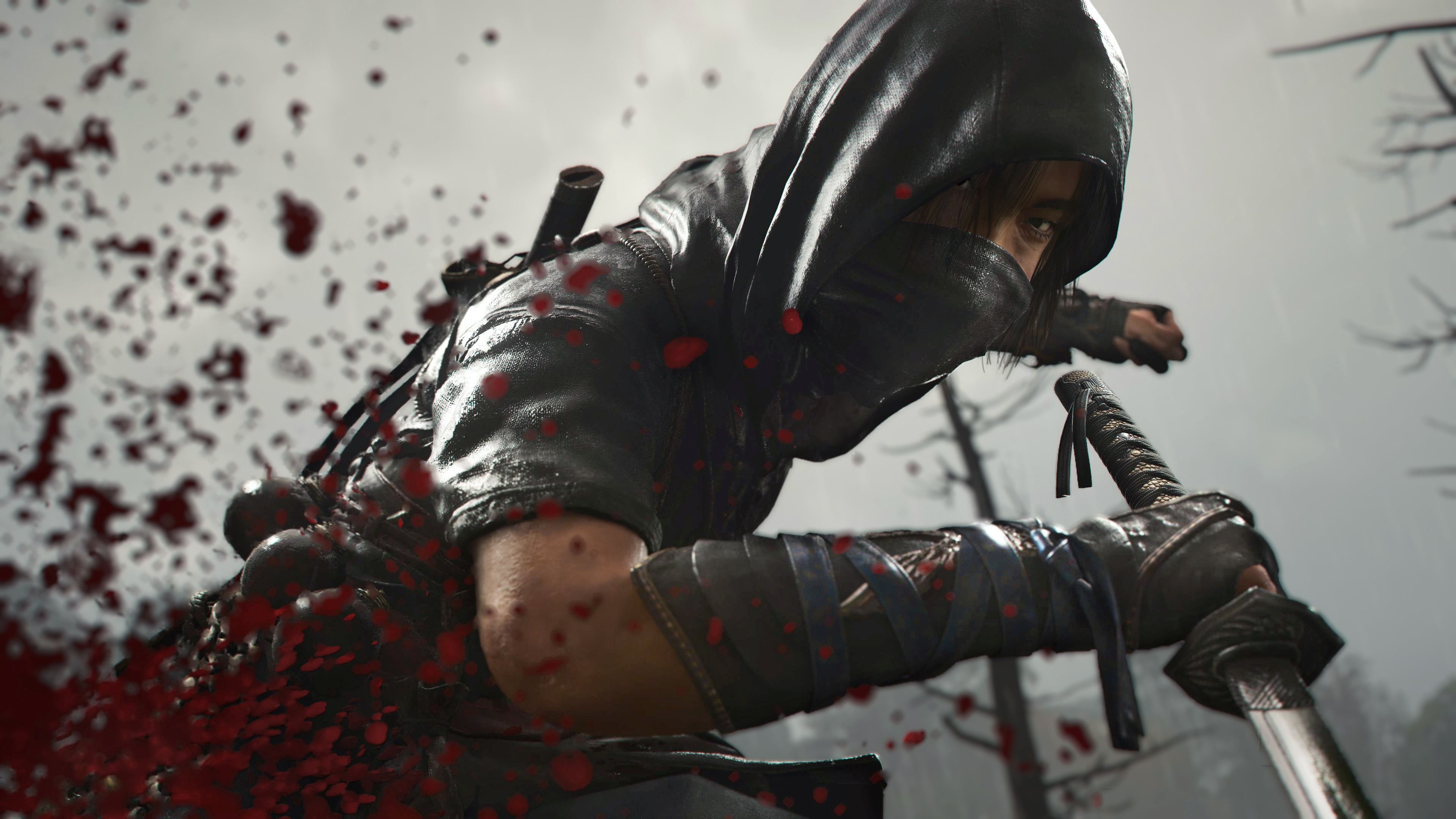 Assassin`s Creed Shadows - Year 1 Roadmap vorgestellt