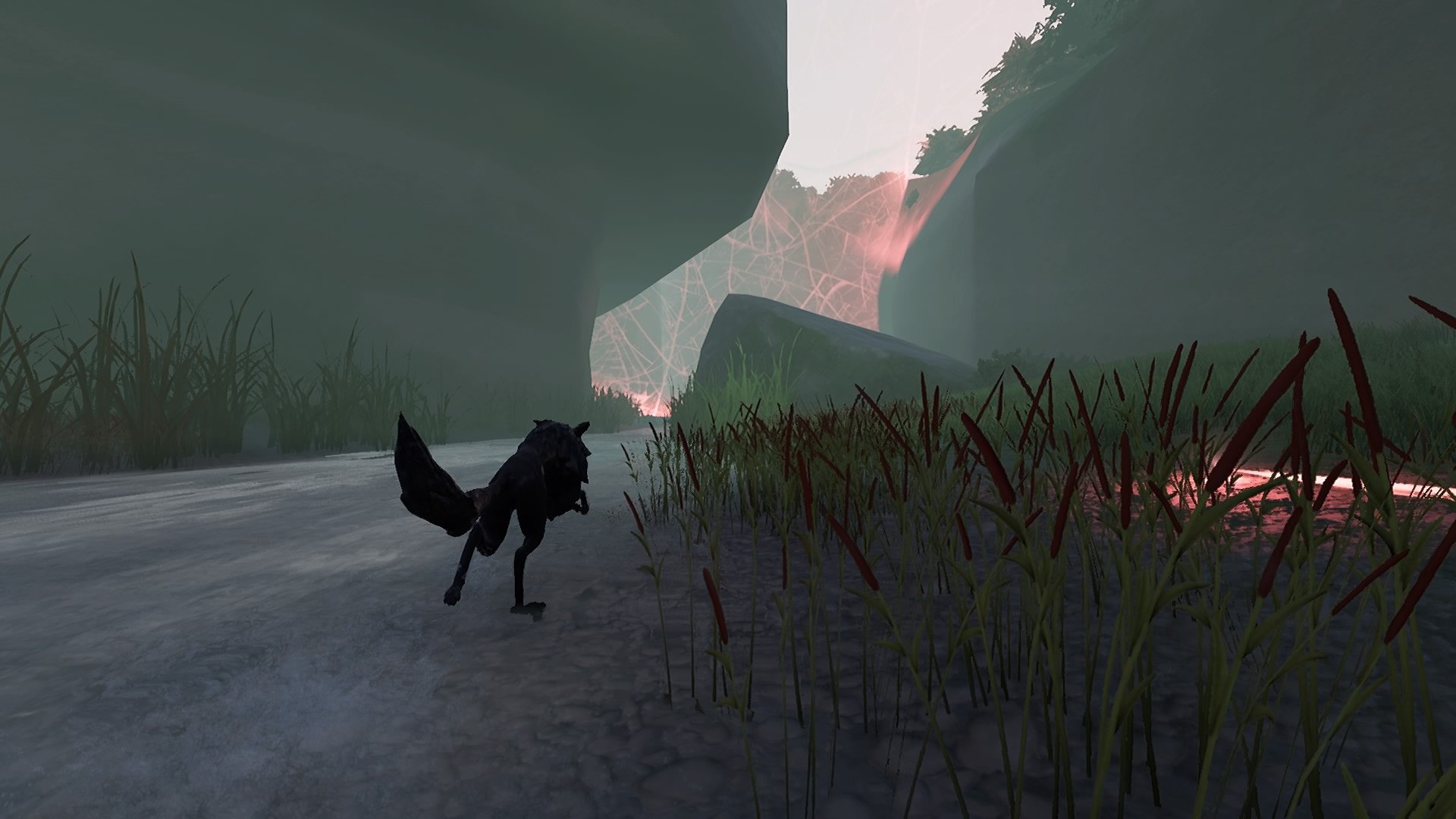 Lost Ember