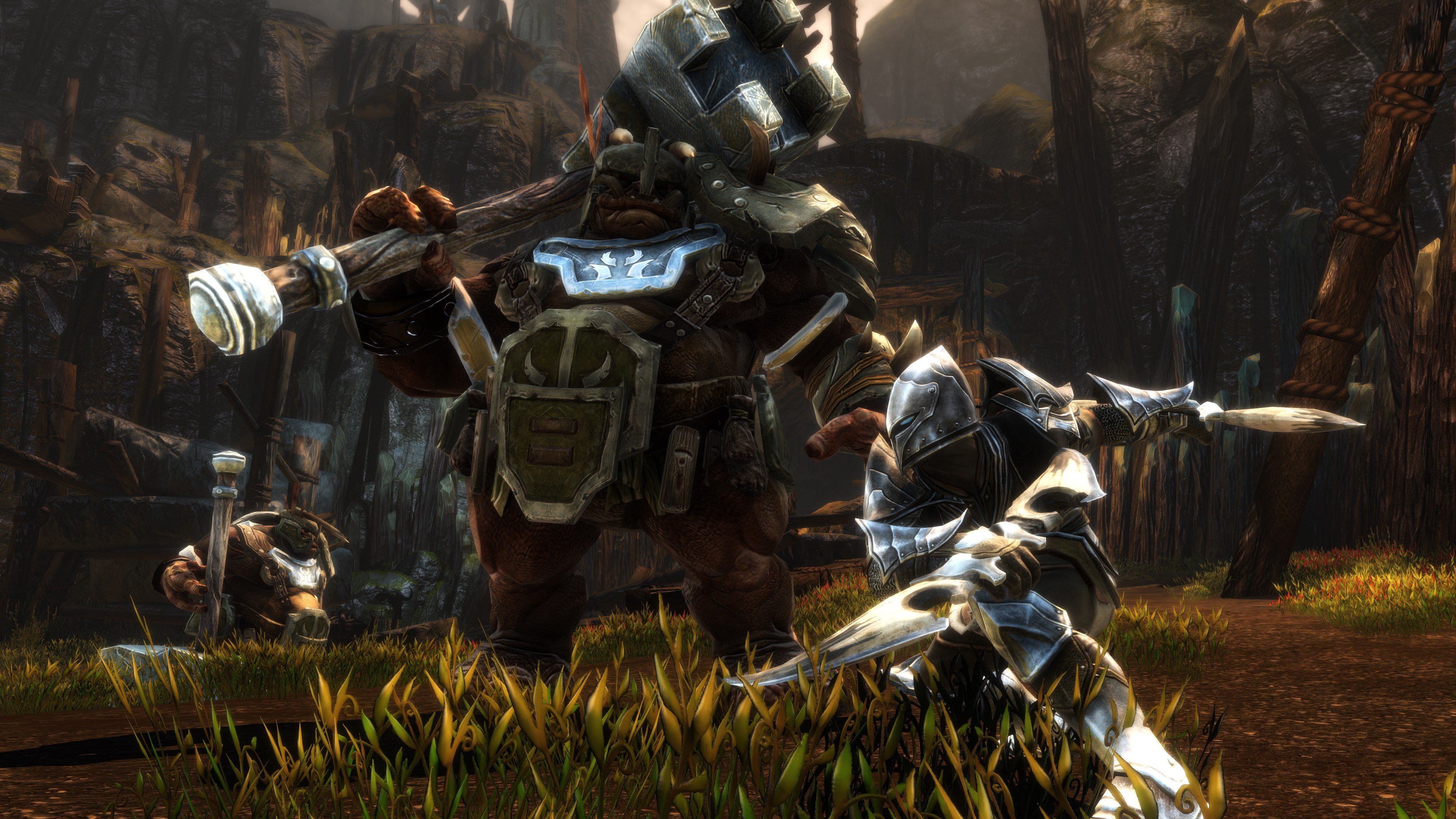 Kingdoms of Amalur: Re-Reckoning - Noch ein Remaster von EA