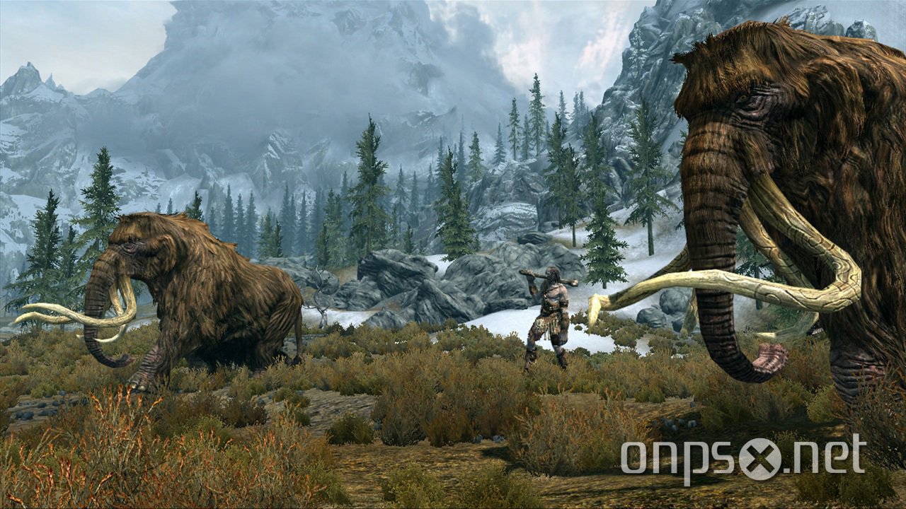 The Elder Scrolls V: Skyrim