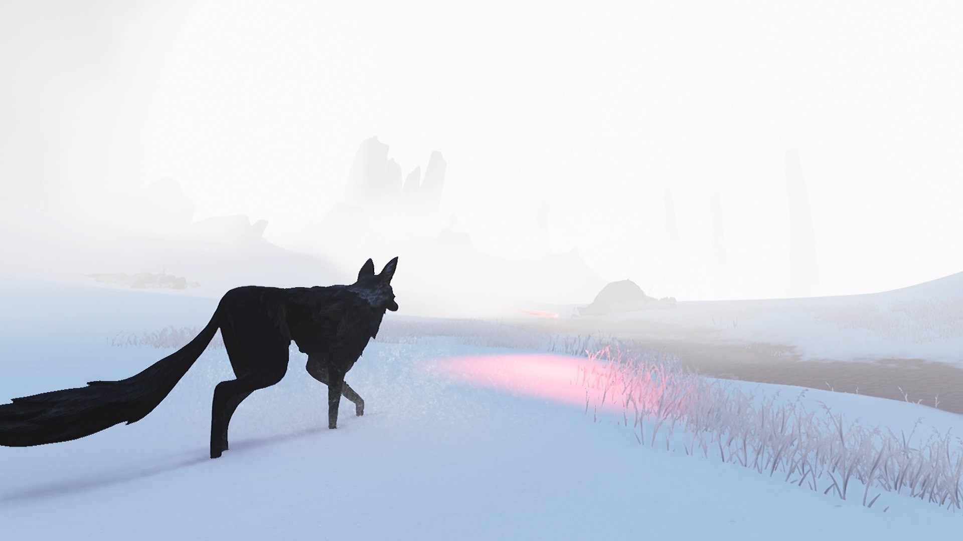 Lost Ember