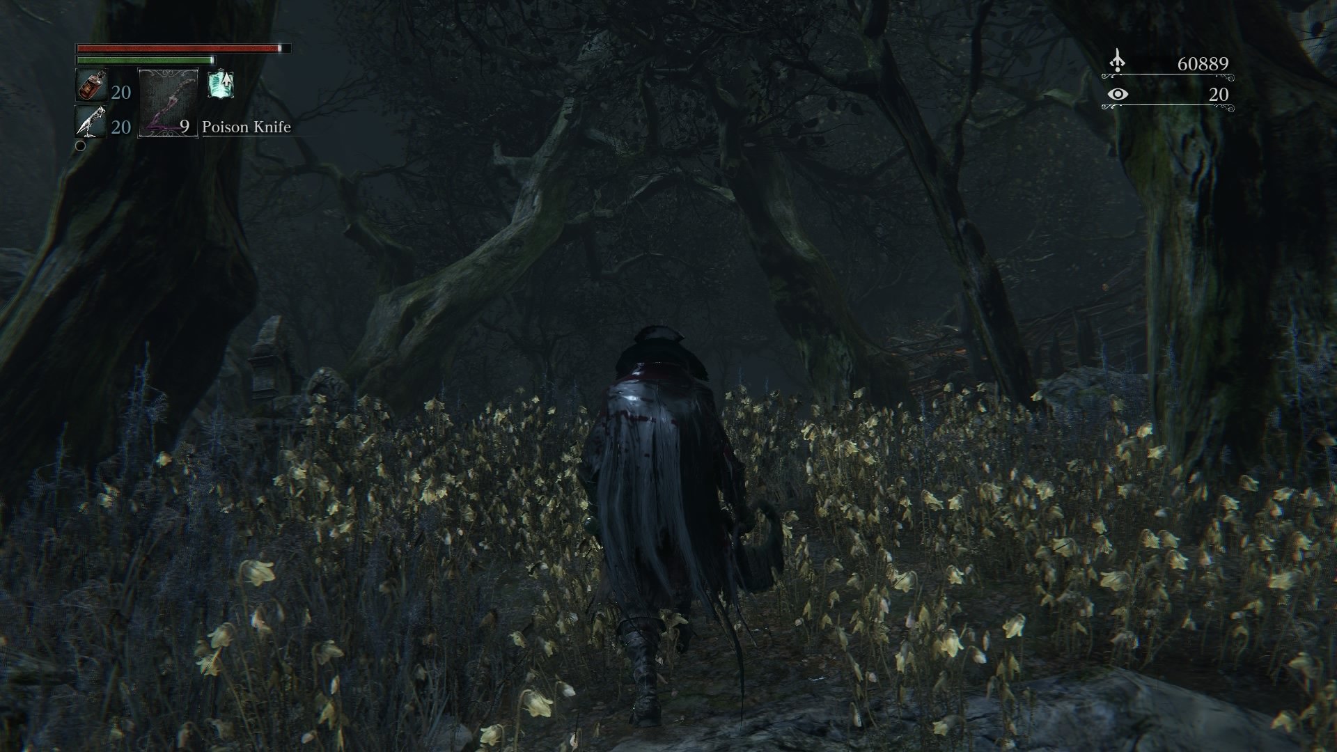 EU: Collector`s Editionen für Bloodborne angekündigt