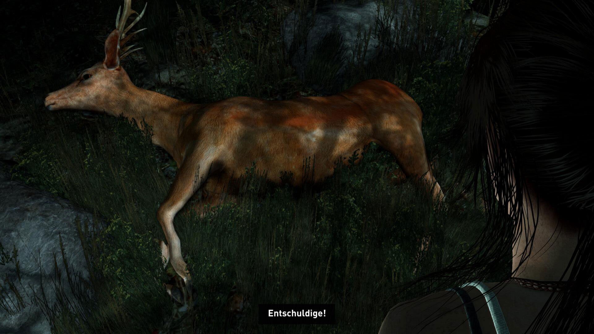 Tomb Raider: Definitive Edition