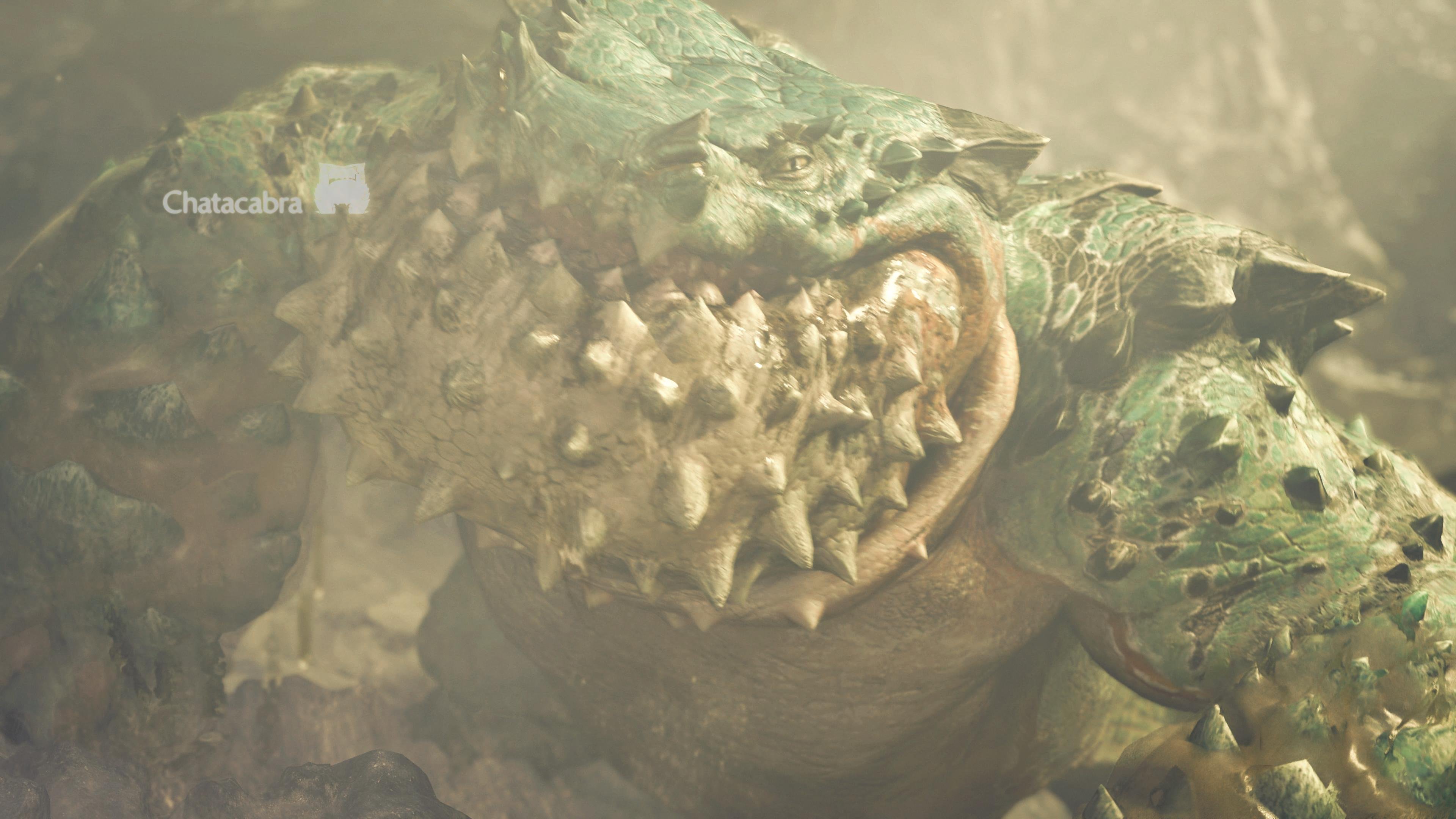 Monster Hunter Wilds kommt im Februar auf die PS5