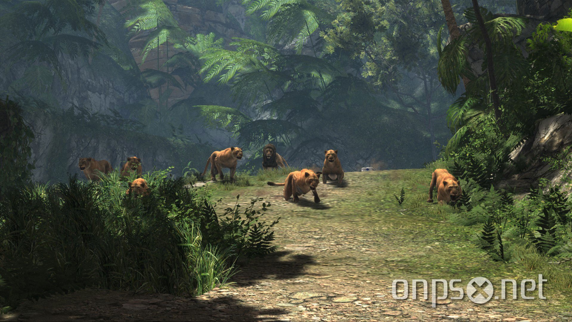 Cabelas Dangerous Hunts 2013