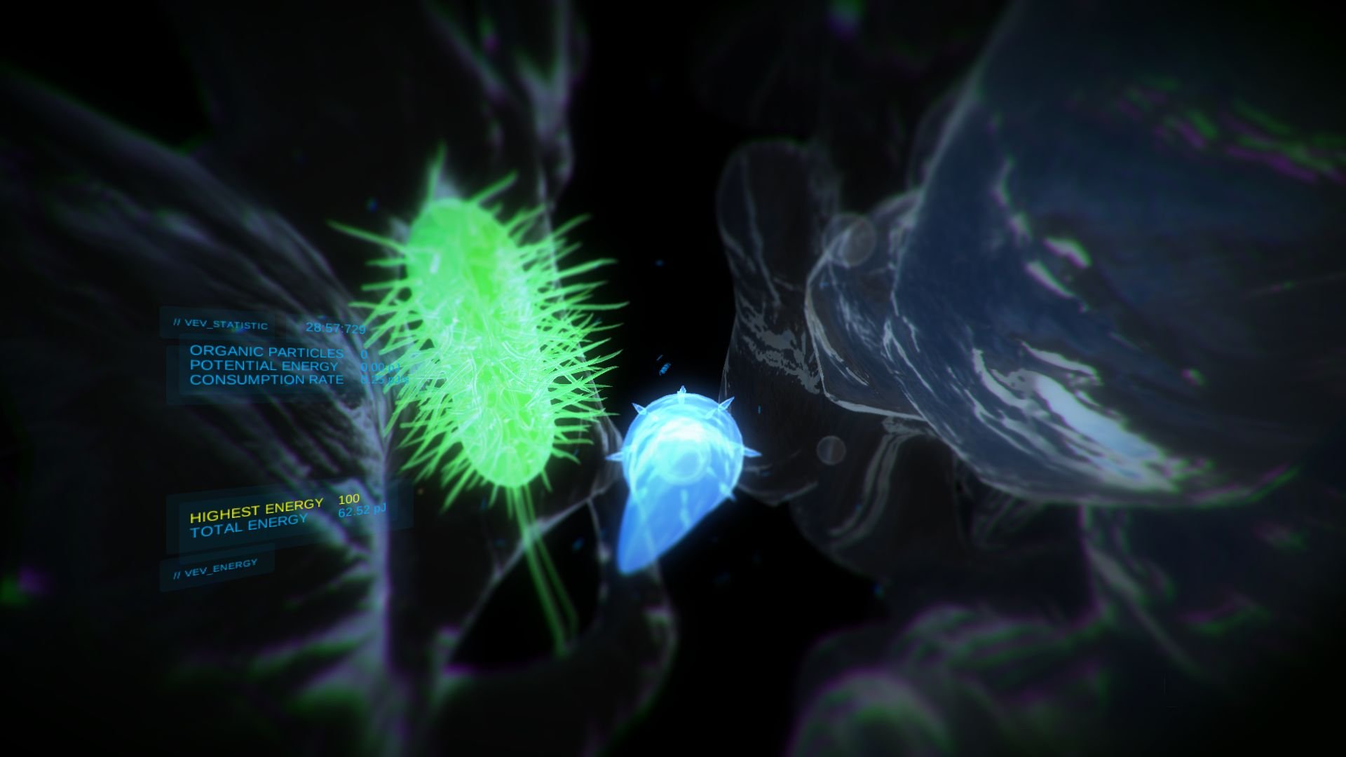 VEV: Viva Ex Vivo erscheint am 17. Mai