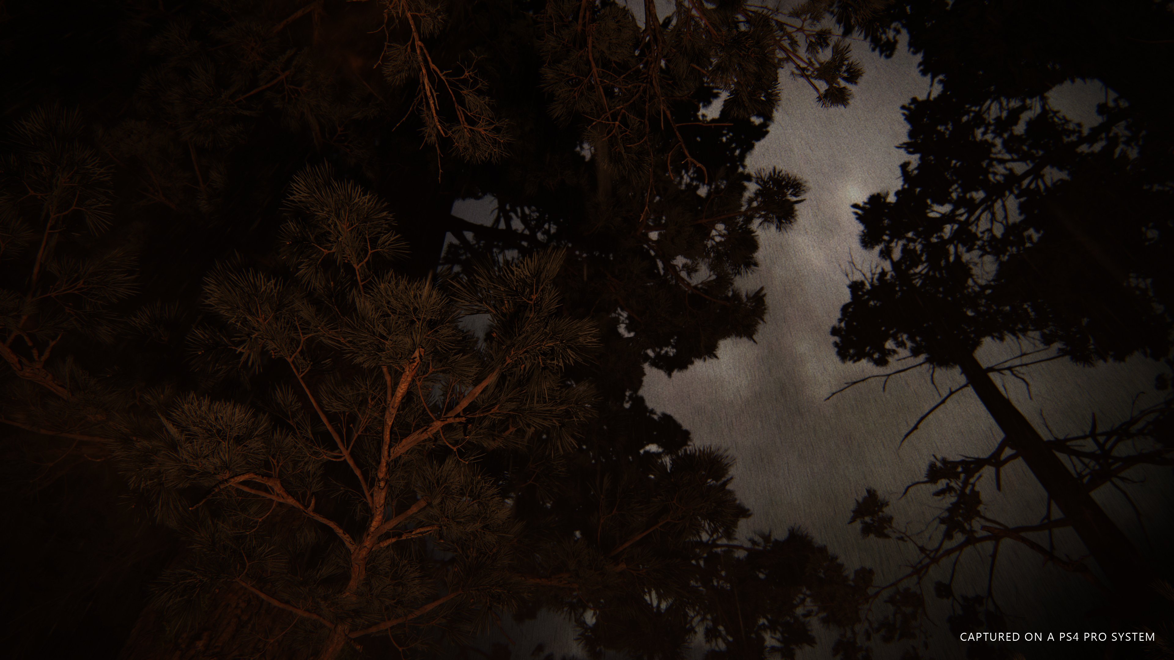 PS Now - Spiele für Oktober 2021 (The Last of Us Part II...)