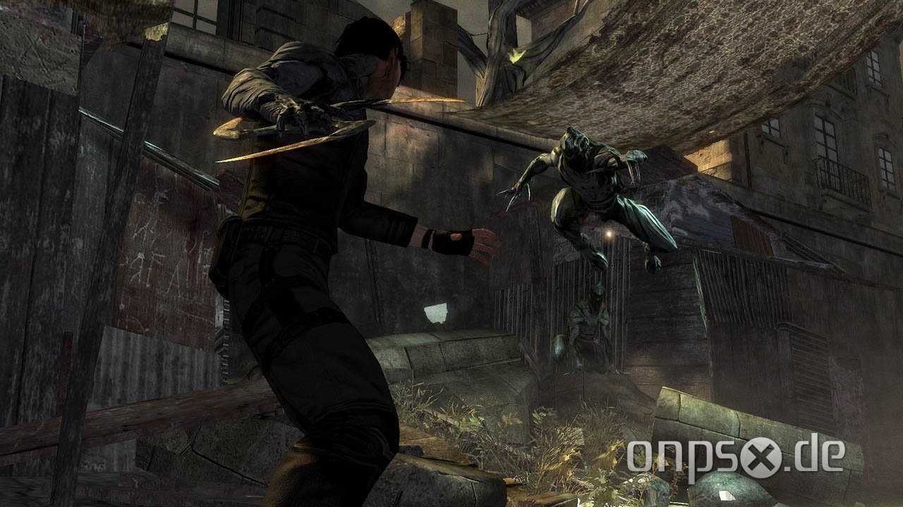 Dark Sector