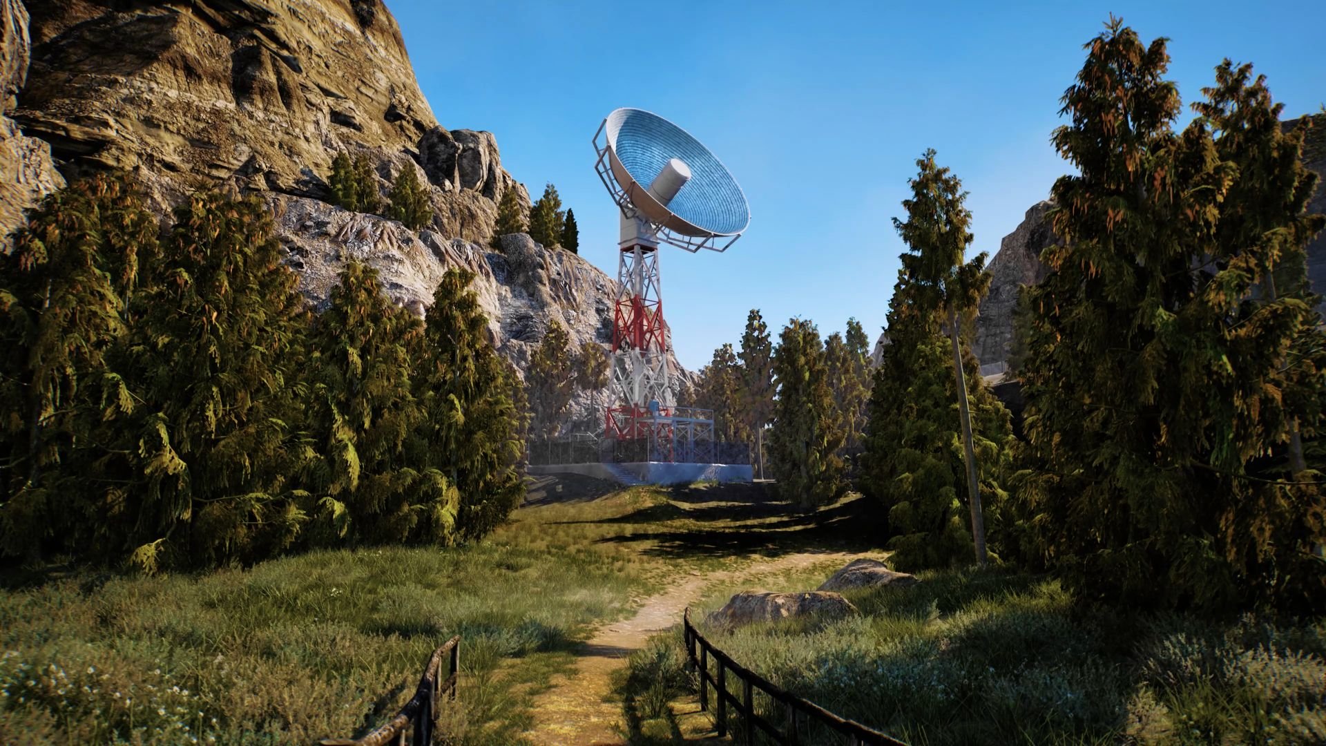 The Fading of Nicole Wilson