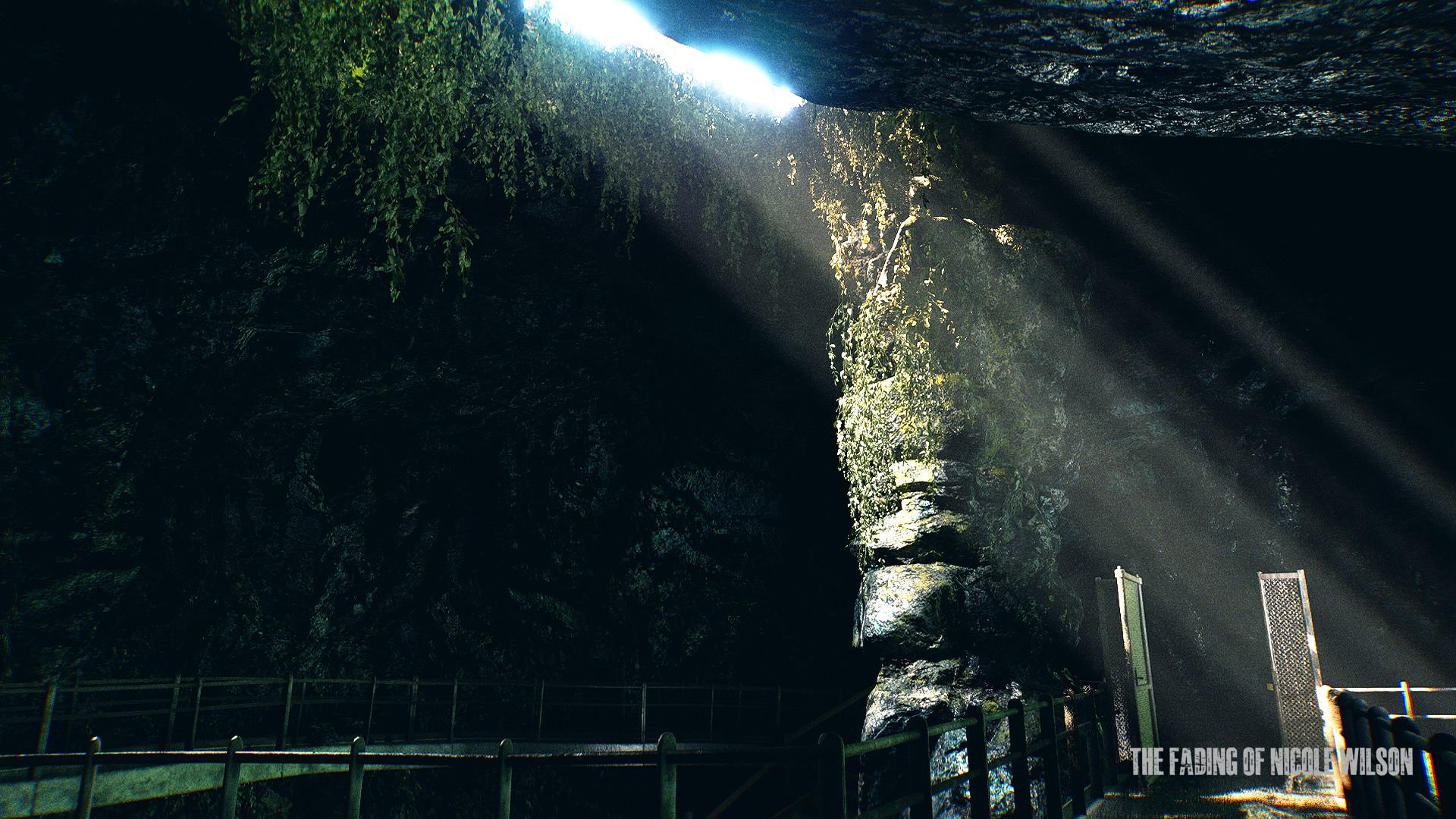 The Fading of Nicole Wilson