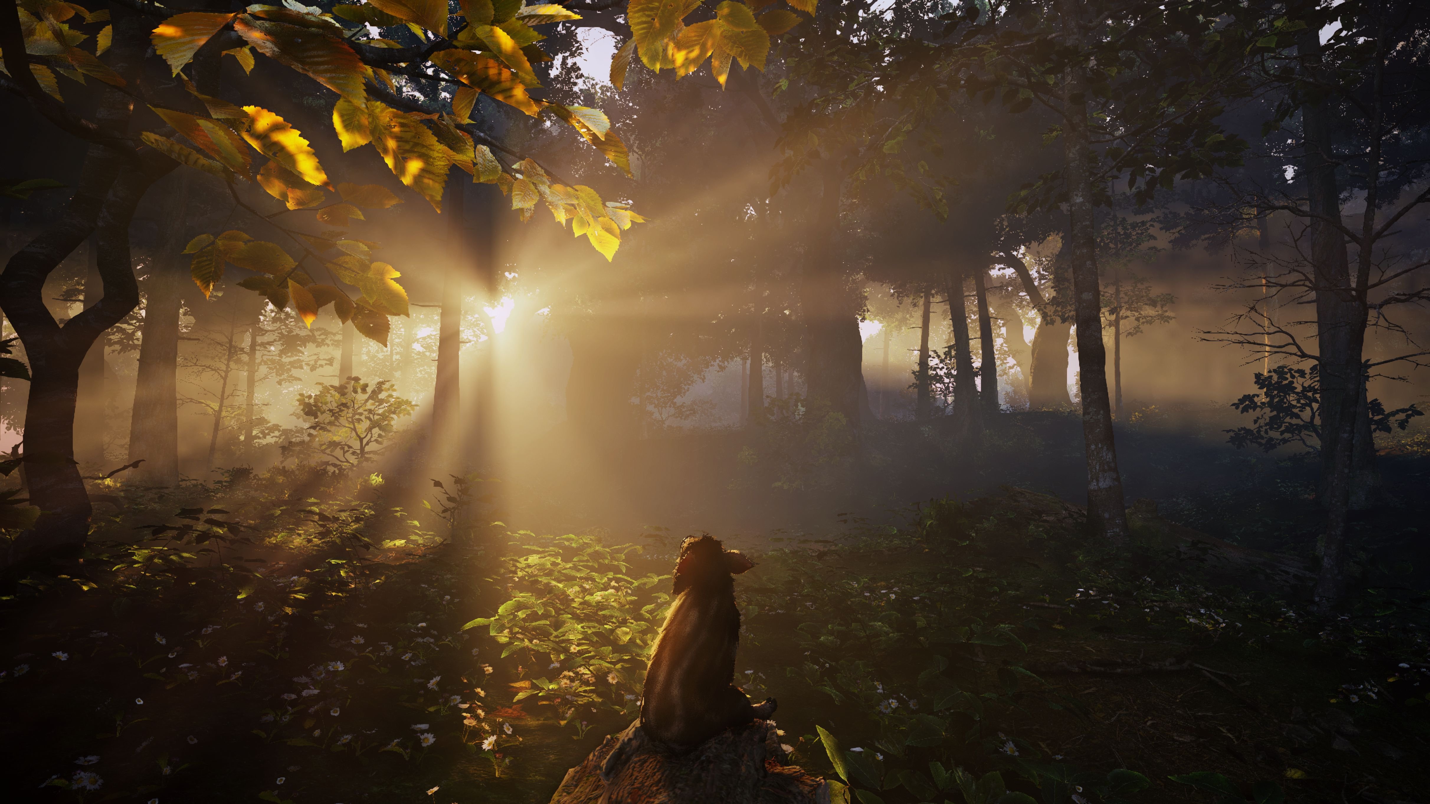 Adorable Adventures - Release Ende April