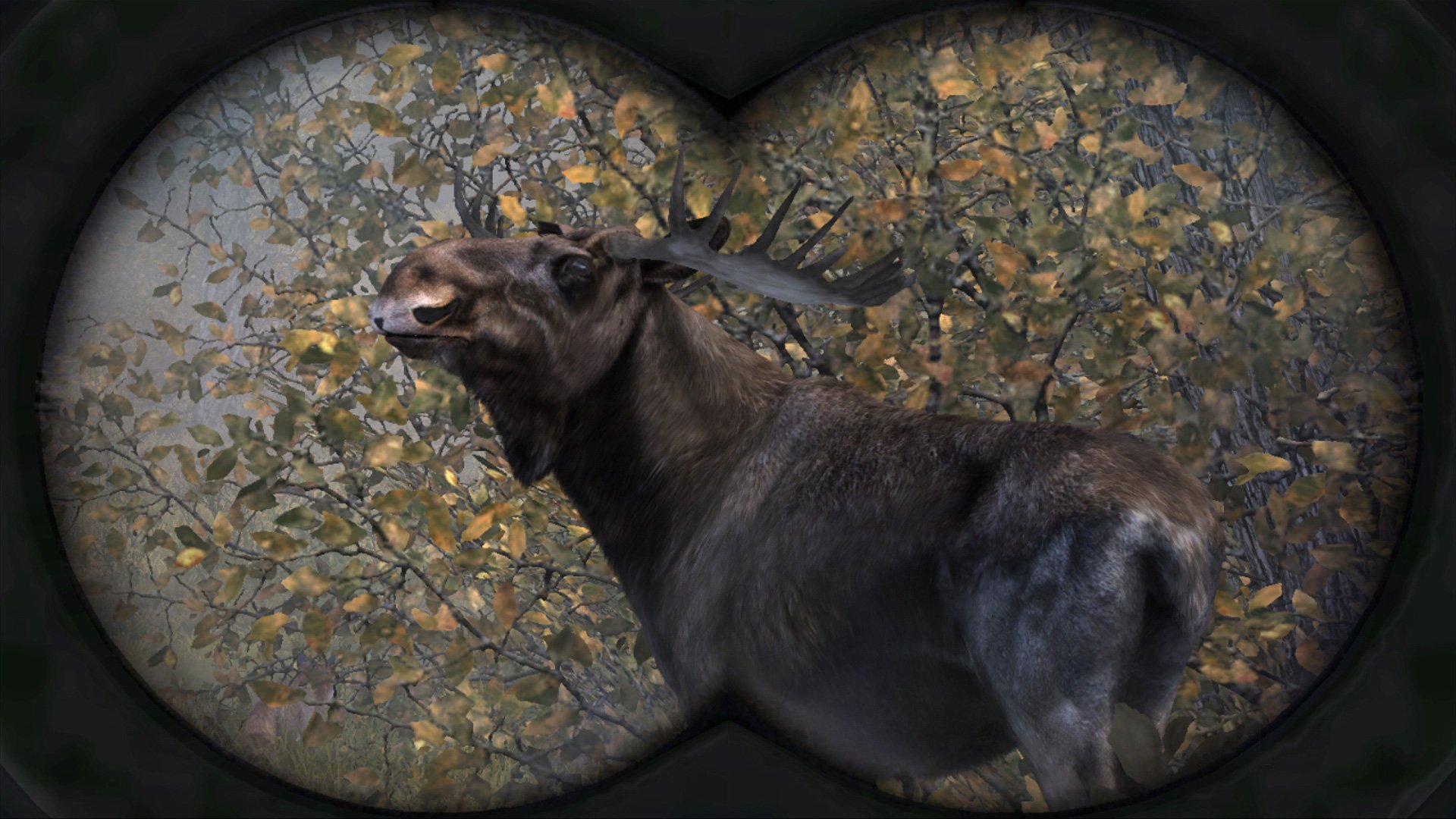 Cabelas Big Game Hunter: Pro Hunts