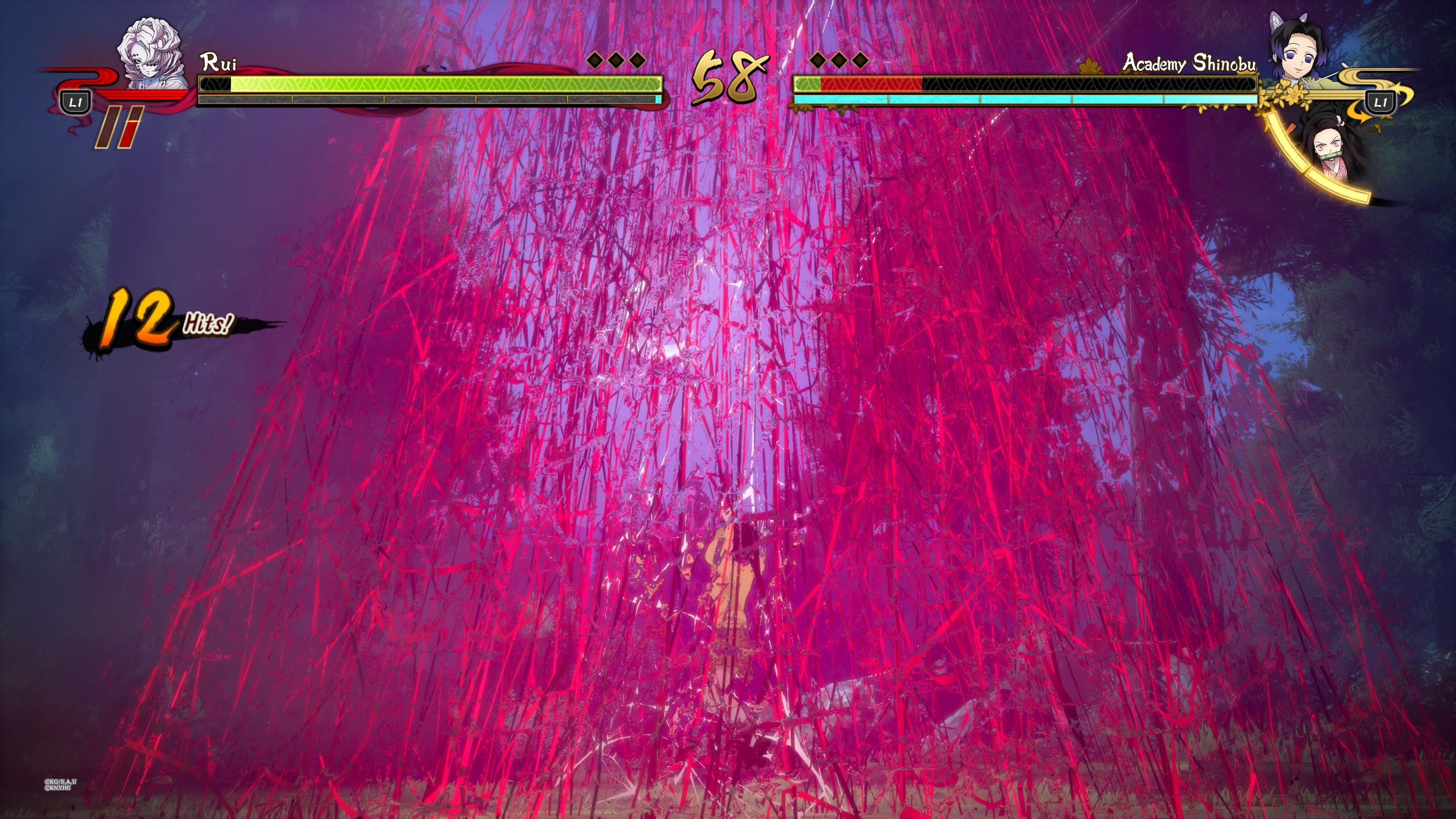 Demon Slayer: Kimetsu no Yaiba - The Hinokami Chronicles