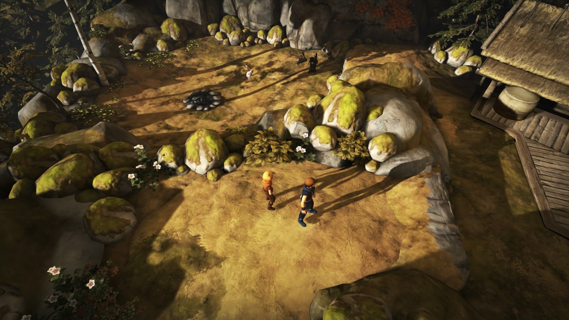 Brothers: A Tale of Two Sons