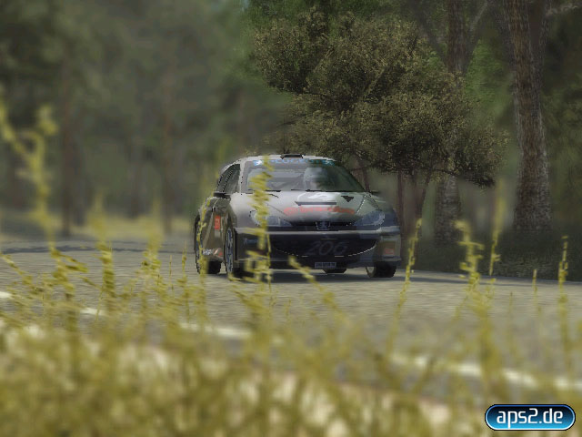 Colin McRae Rally 2005