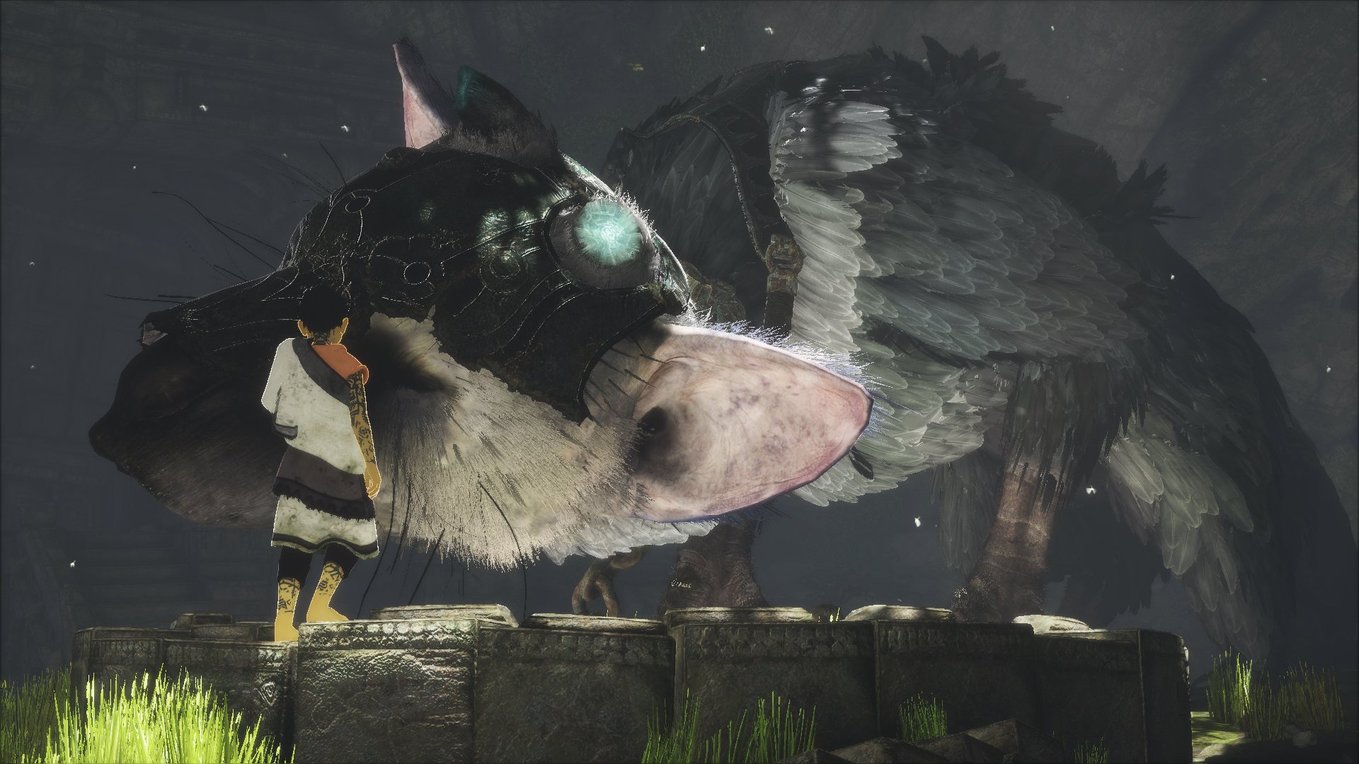 The Last Guardian: Unboxing der Collectors Edition