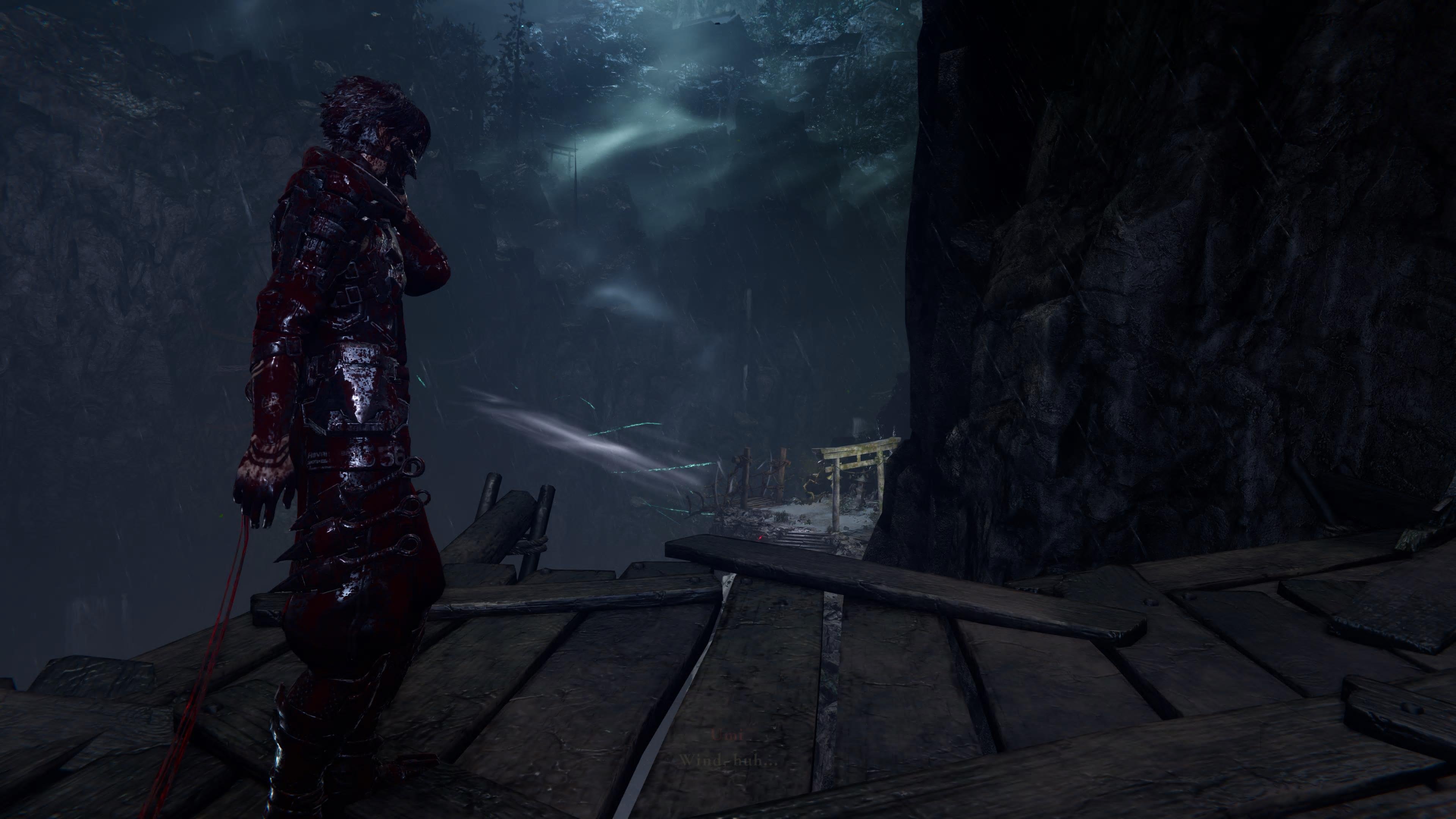 Ninja Gaiden 4