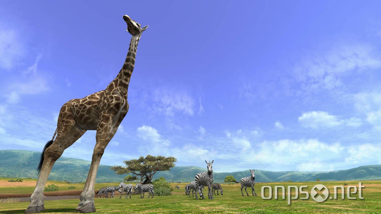 Afrika