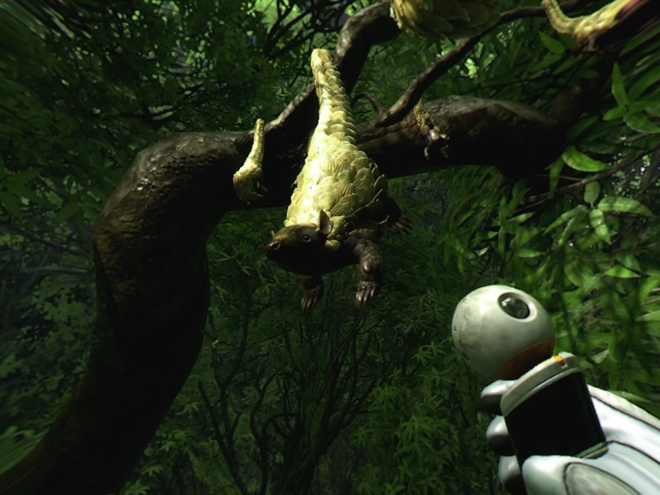 Robinson: The Journey