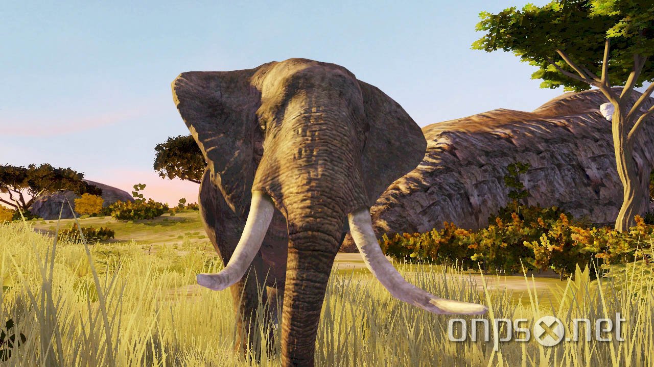 Cabela's Dangerous Adventures