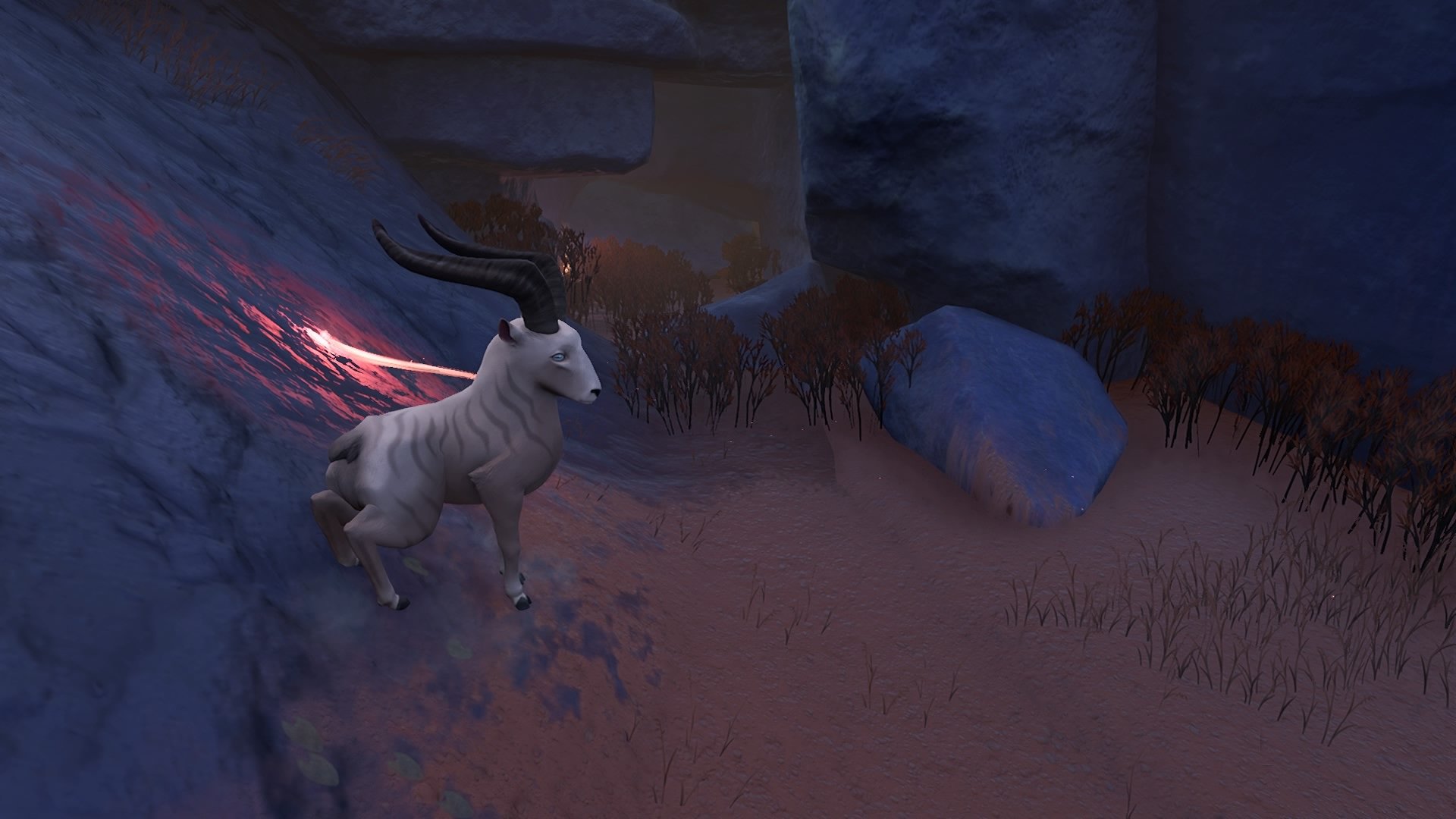 Lost Ember