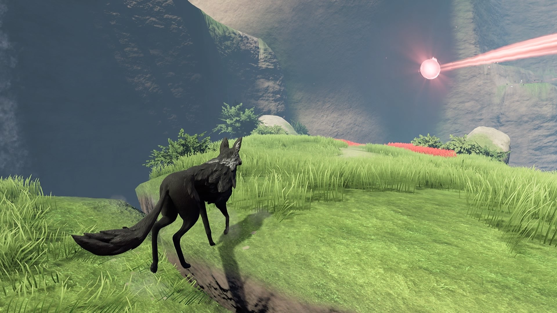 Lost Ember