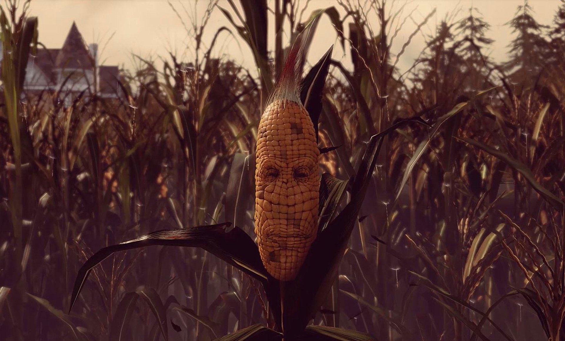 Maize